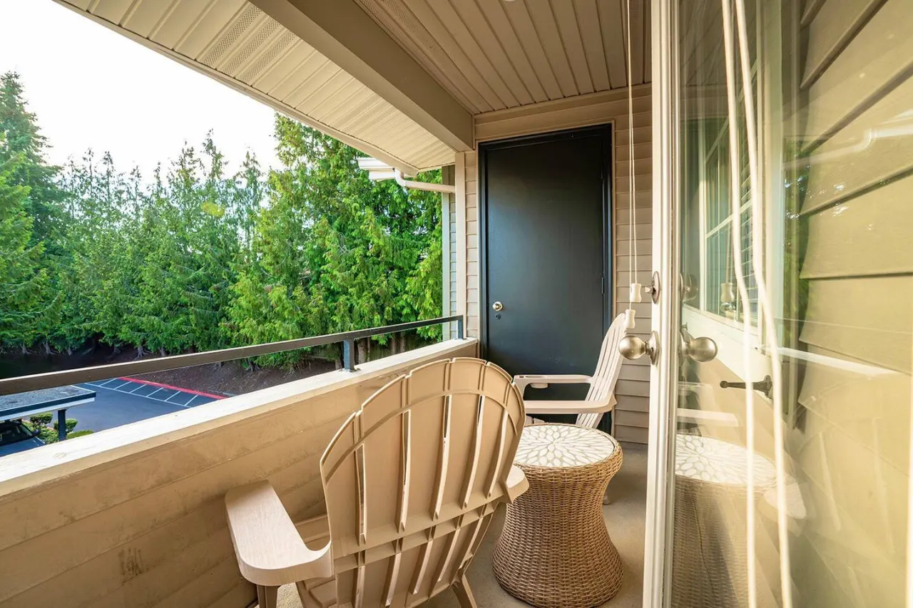 Modern & spacious 1 bedroom apartment 15