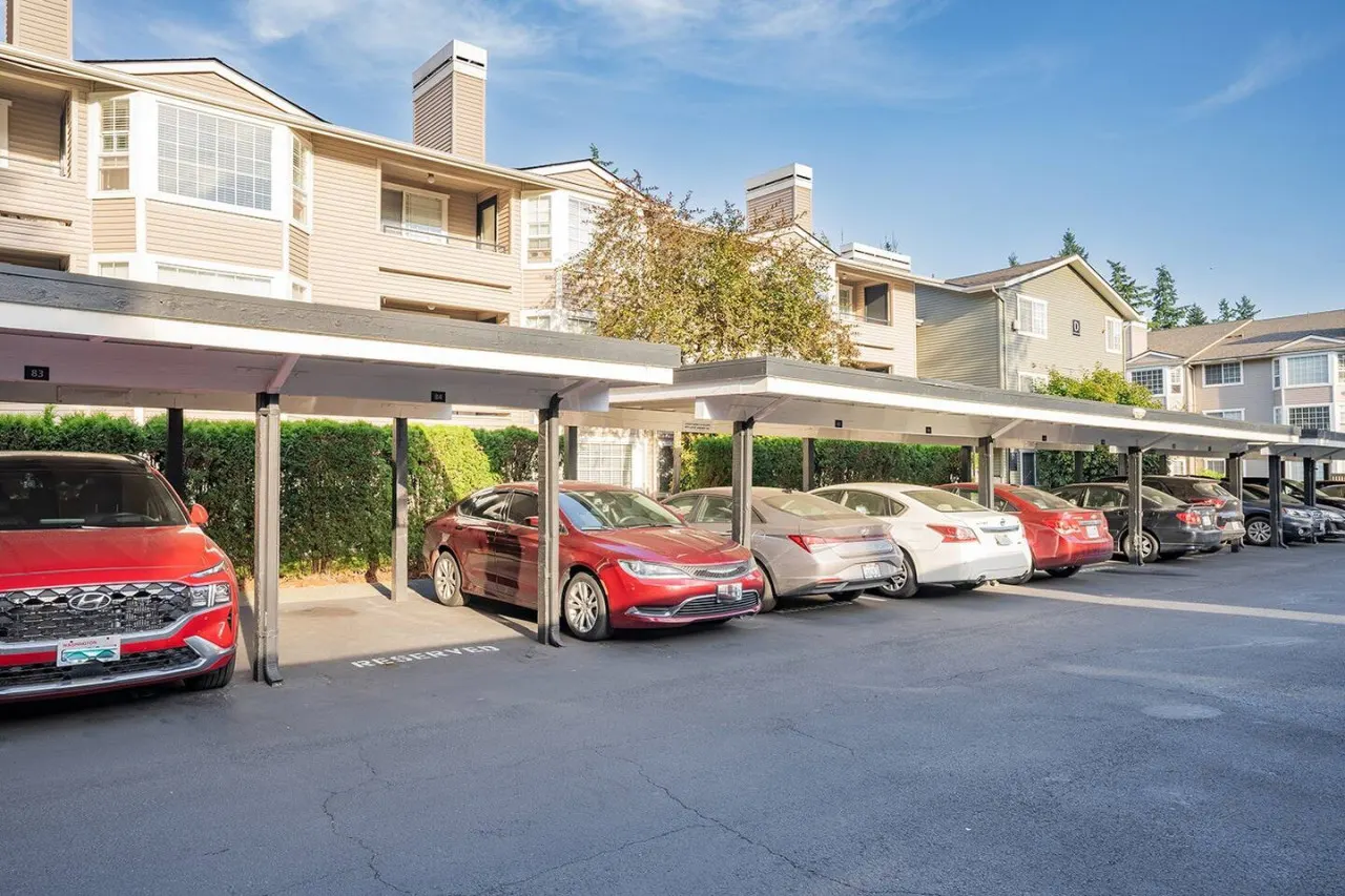 Modern & spacious 1 bedroom apartment 19