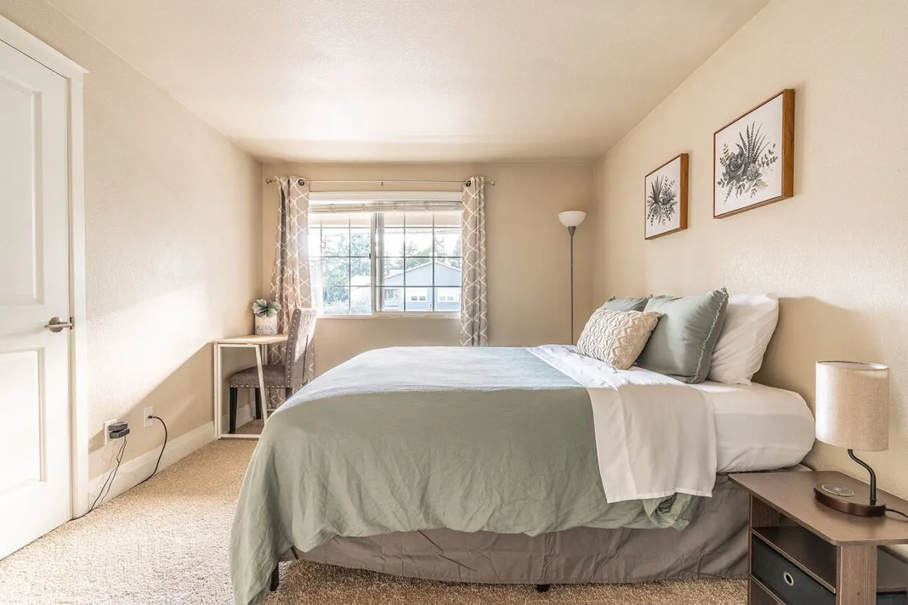 Modern & spacious 1 bedroom apartment 4