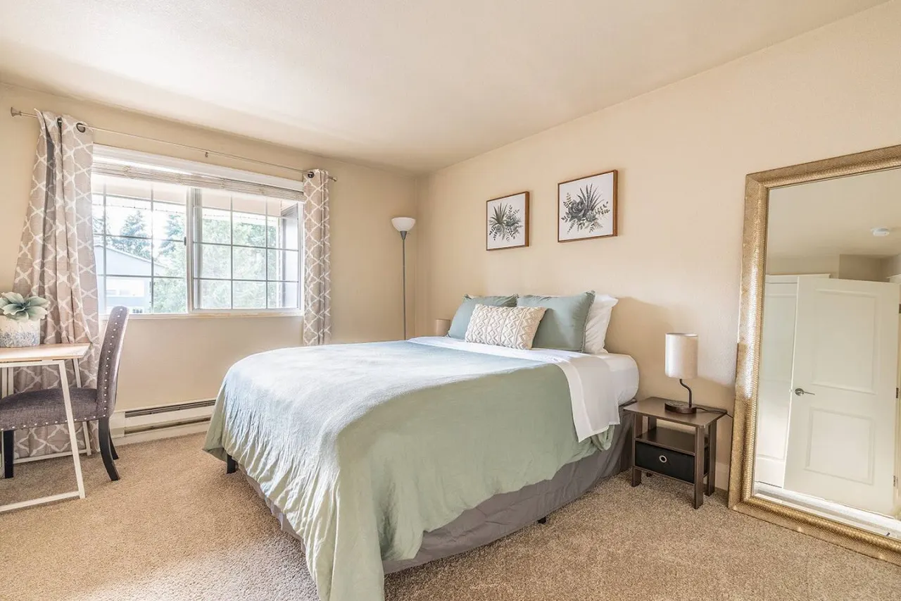 Modern & spacious 1 bedroom apartment 5