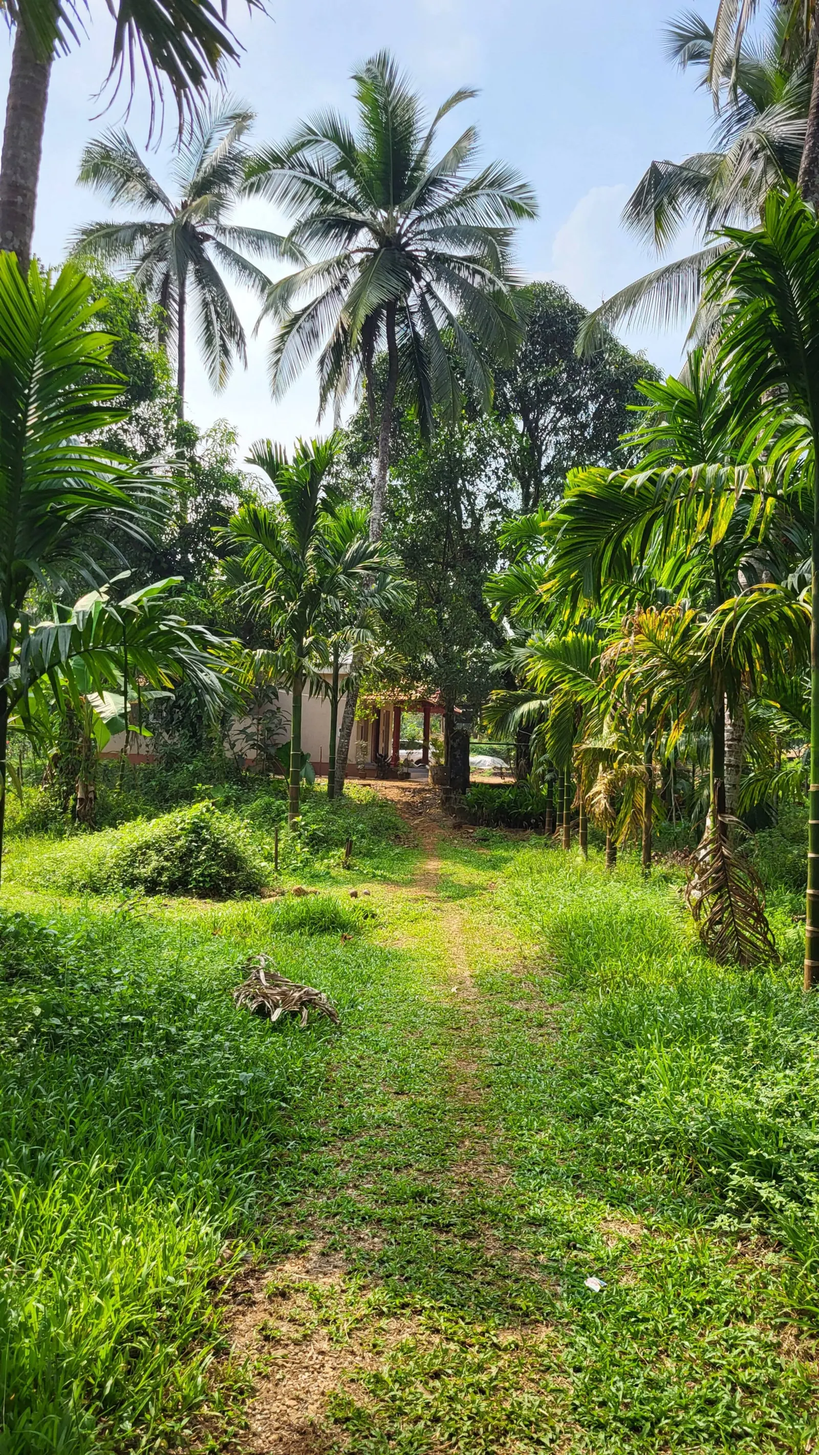 Kapila Farms, A riverside farm stay in Shishila 22