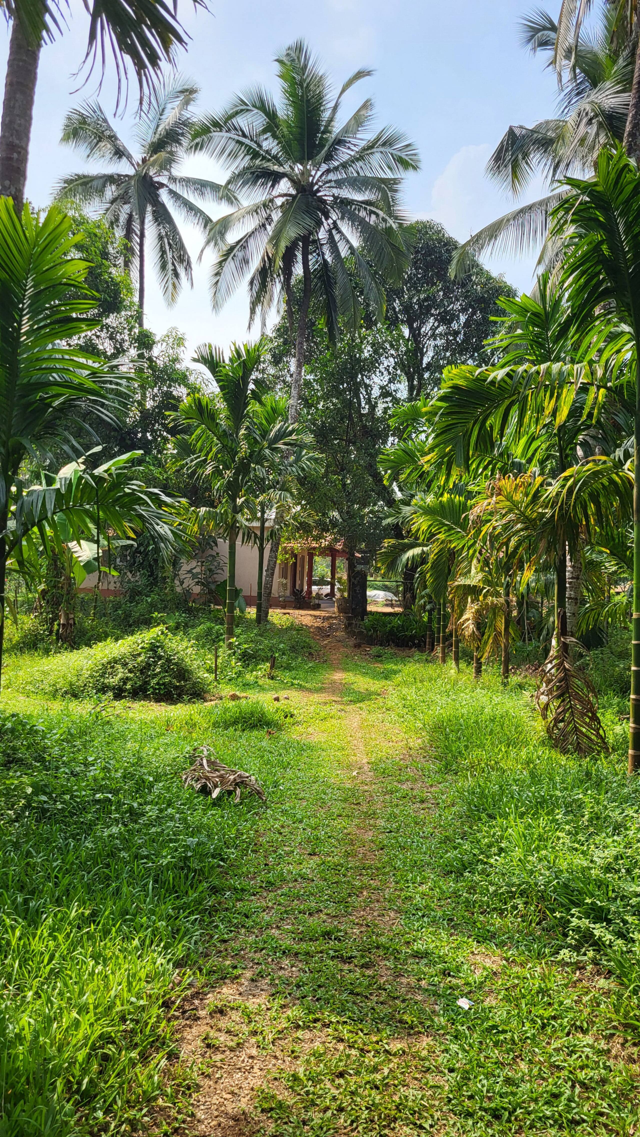 Kapila Farms, A riverside farm stay in Shishila 22