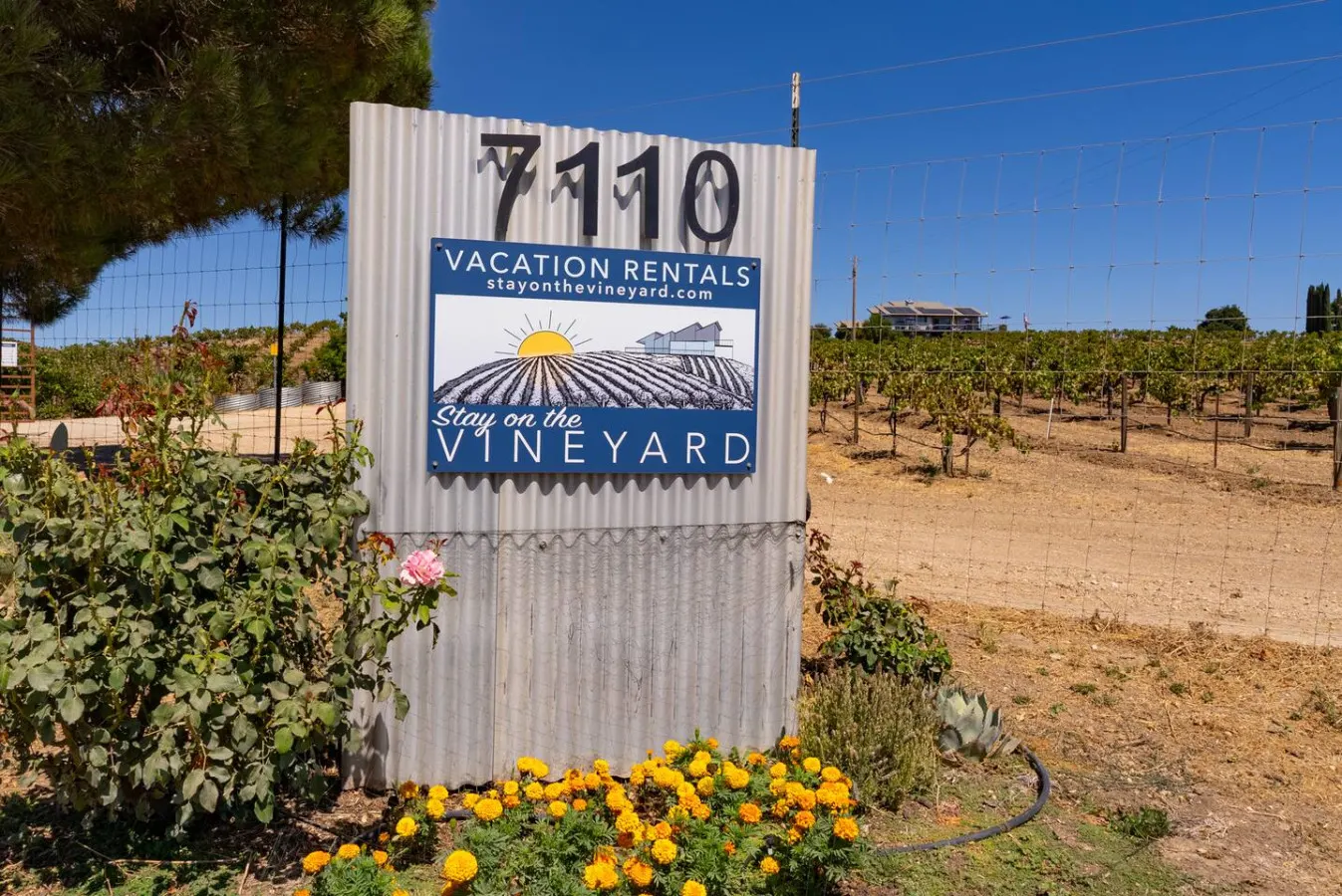 Romantic Vineyard Retreat with EV Charger 14