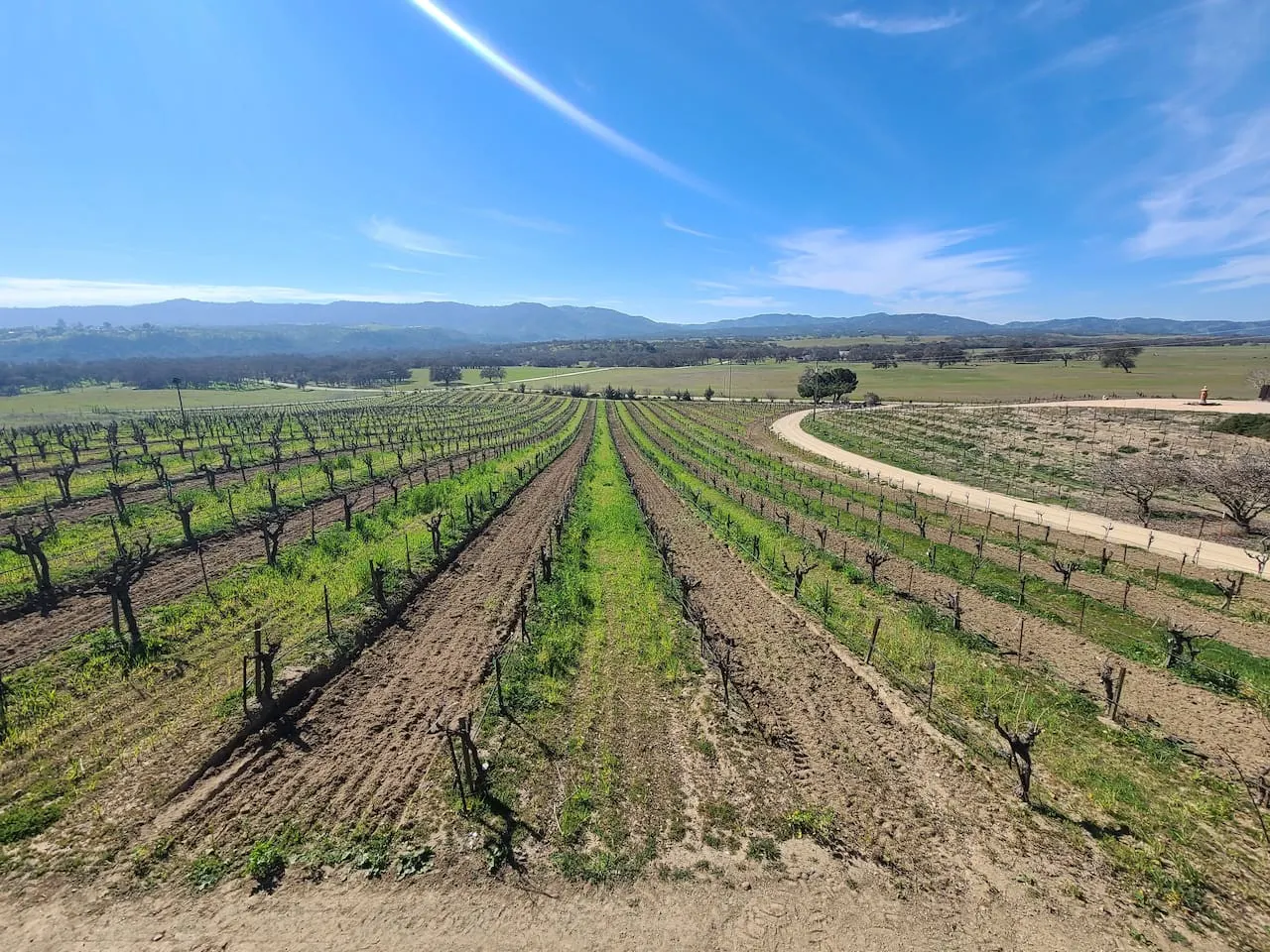 Romantic Vineyard Retreat with EV Charger 17