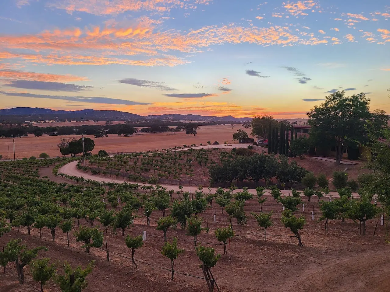 Romantic Vineyard Retreat with EV Charger 18
