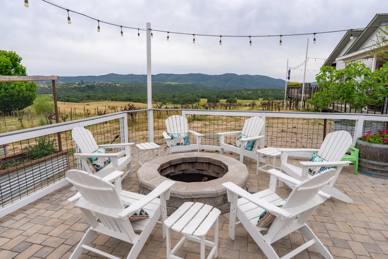Romantic Vineyard Retreat with EV Charger 6