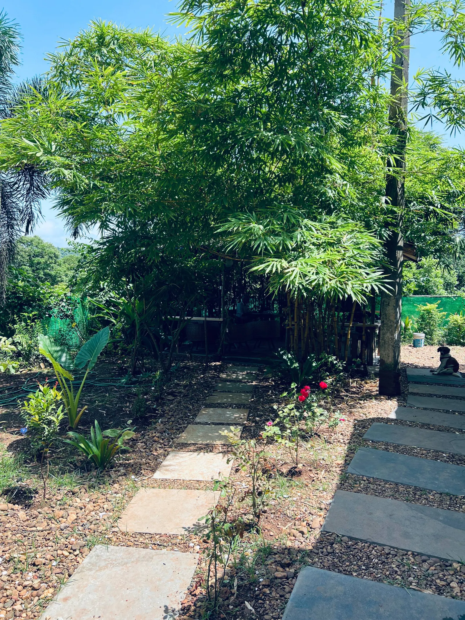 The Peace Nook 19