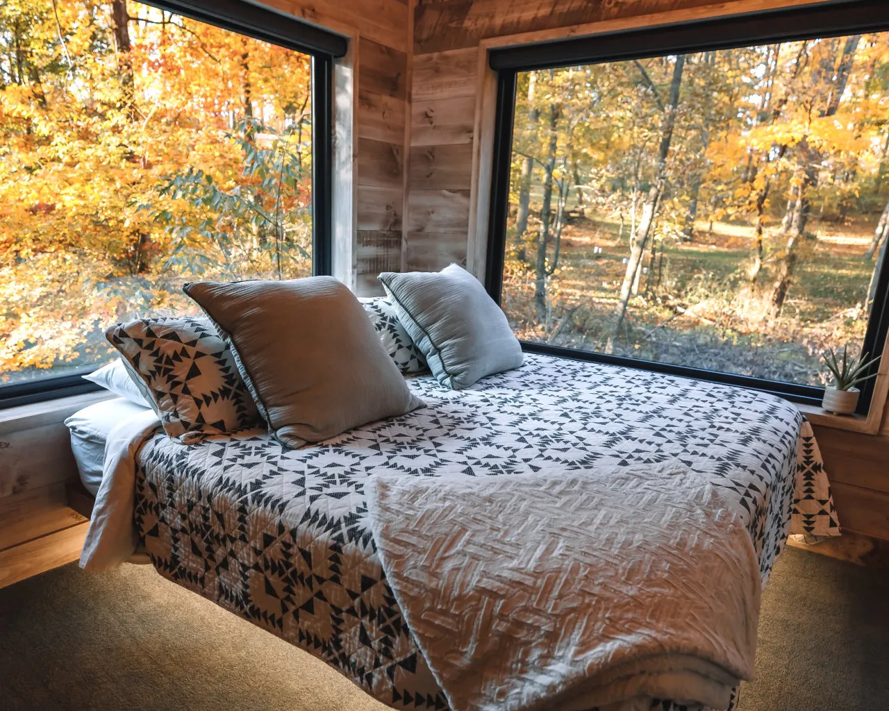 The Treehouse @Brandywine Grove — photo 2