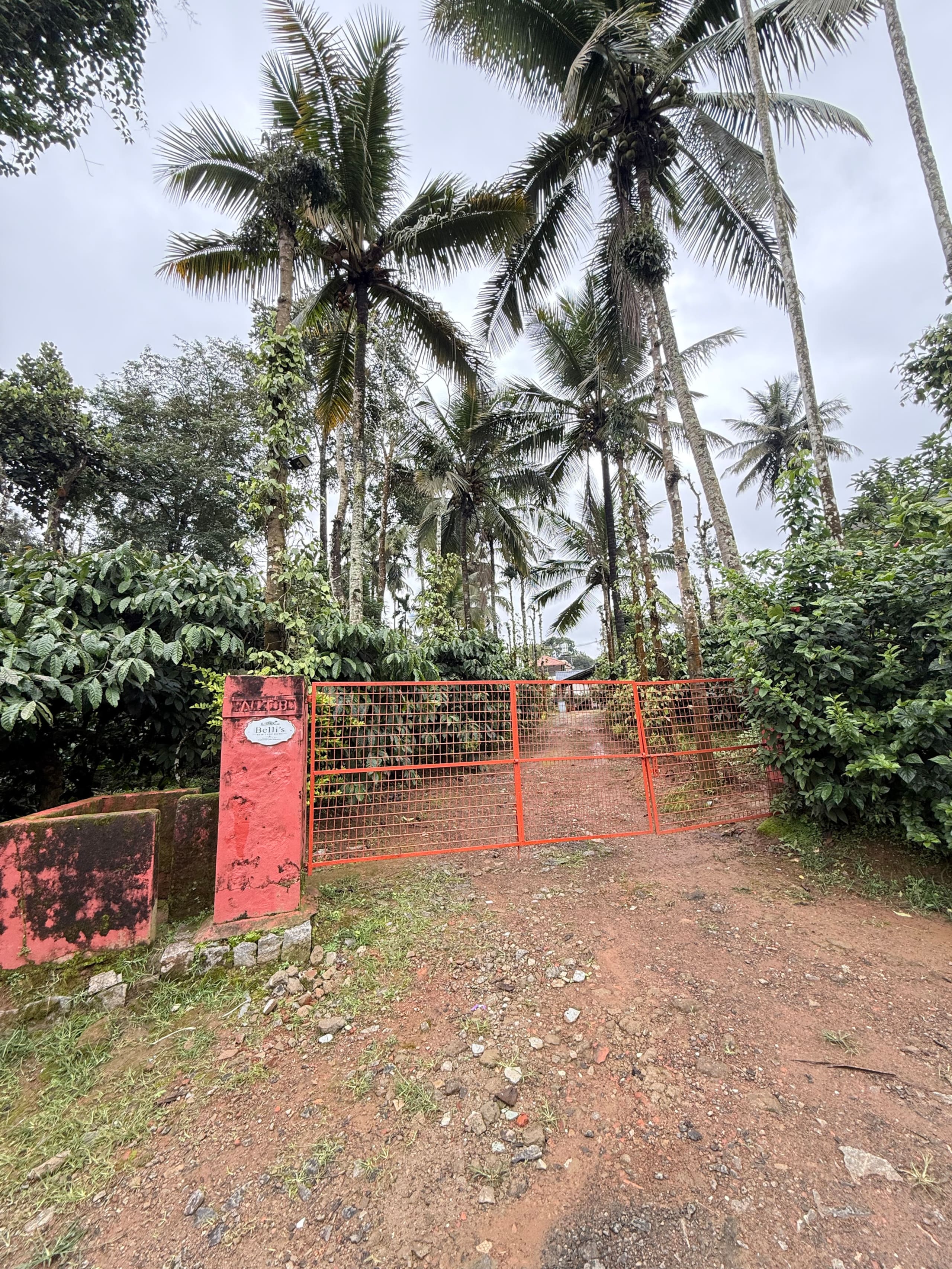 Gowri Cottage — Belli’s Heritage Home 30