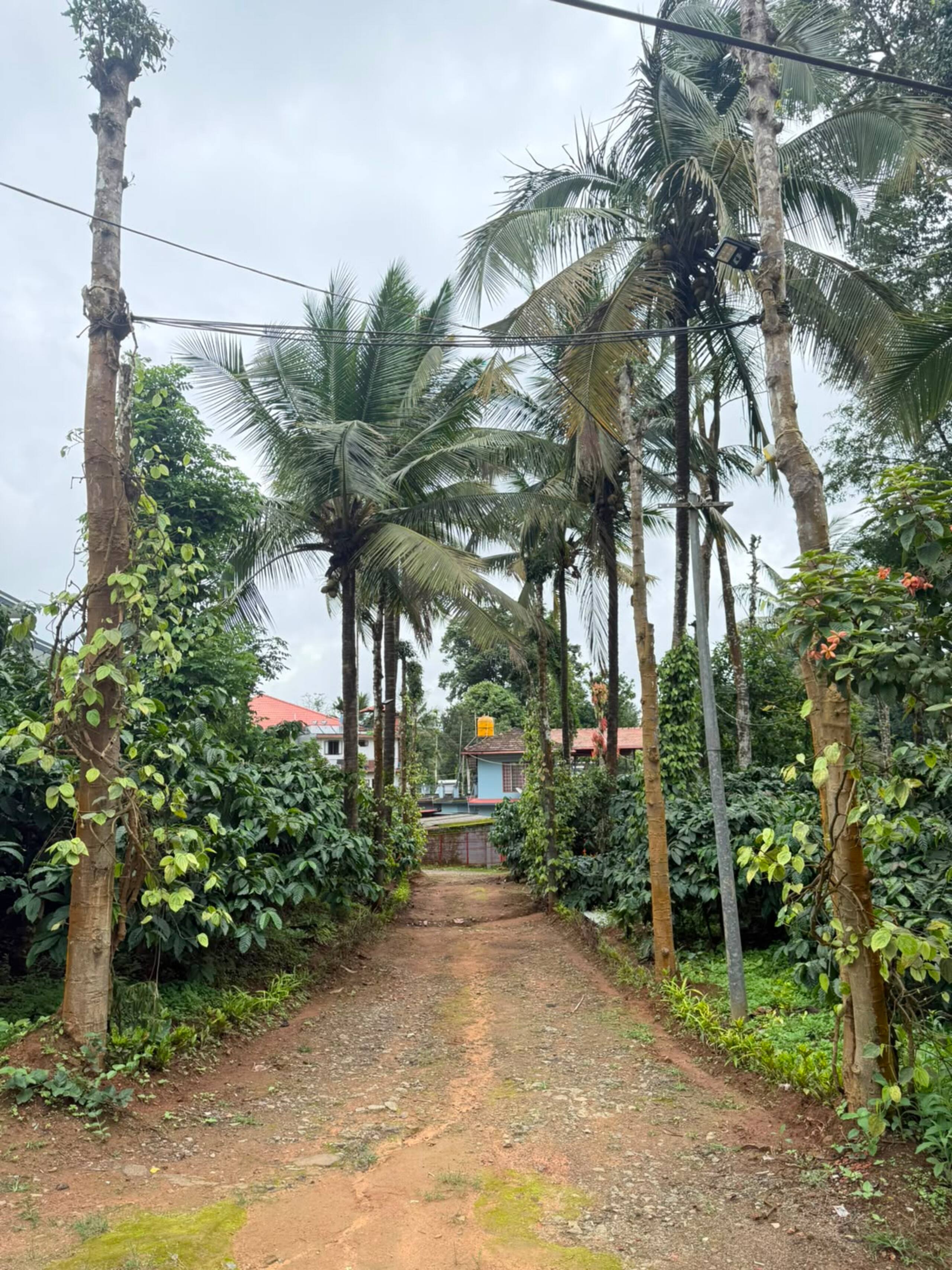 Gowri Cottage — Belli’s Heritage Home 6