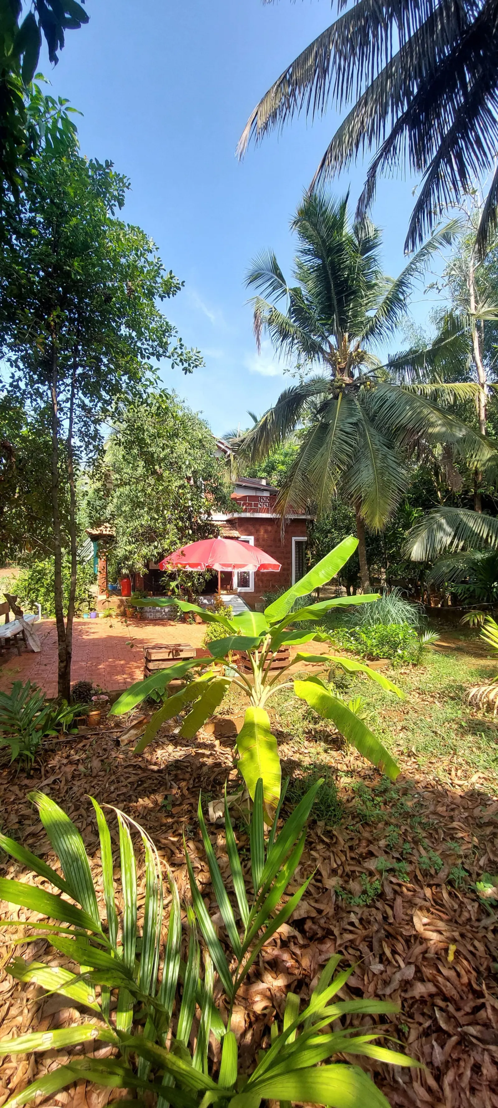 Villa Brahmi Peaceful Garden Stay Near Gokarna 2