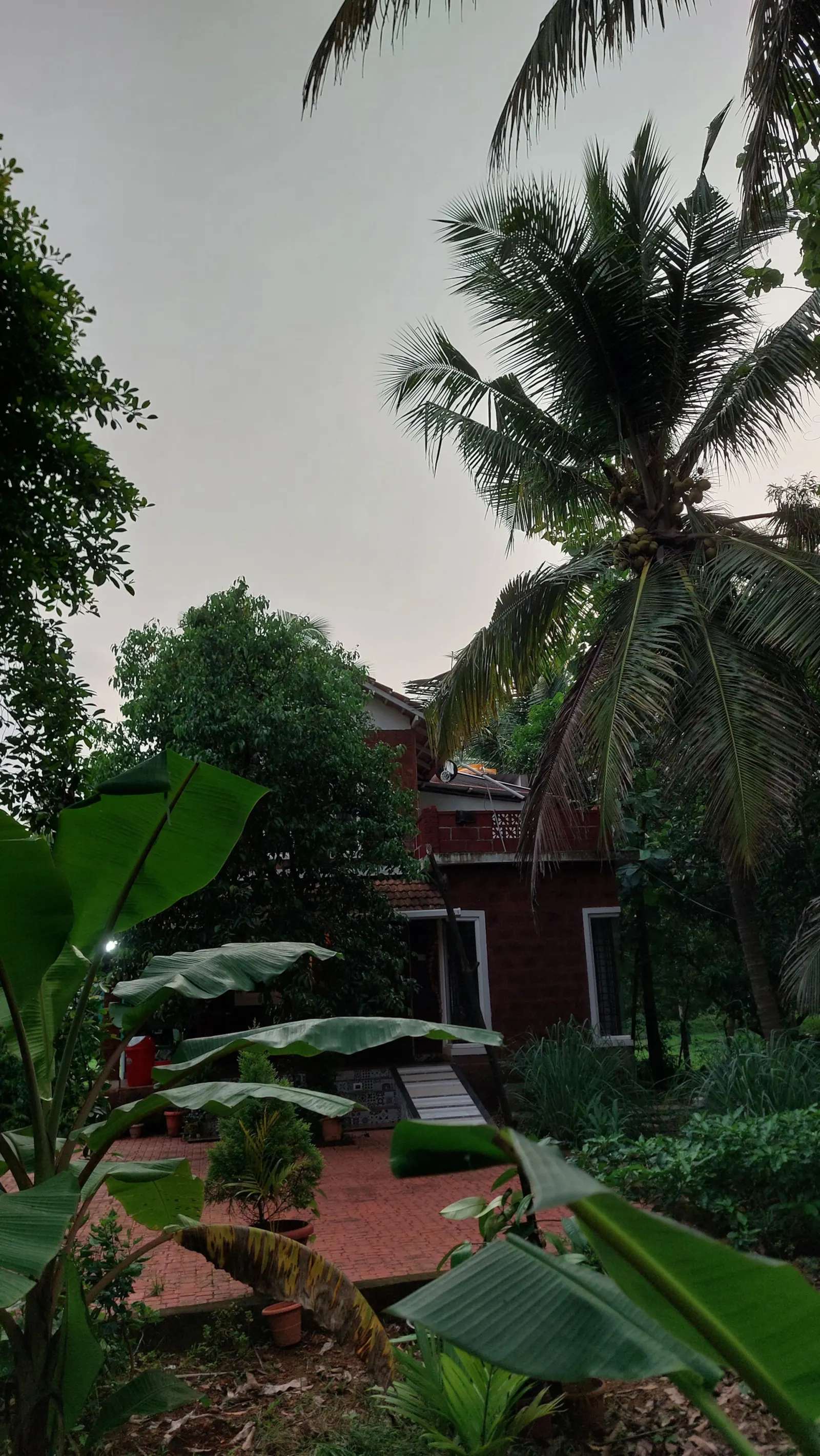 Villa Brahmi Peaceful Garden Stay Near Gokarna 8