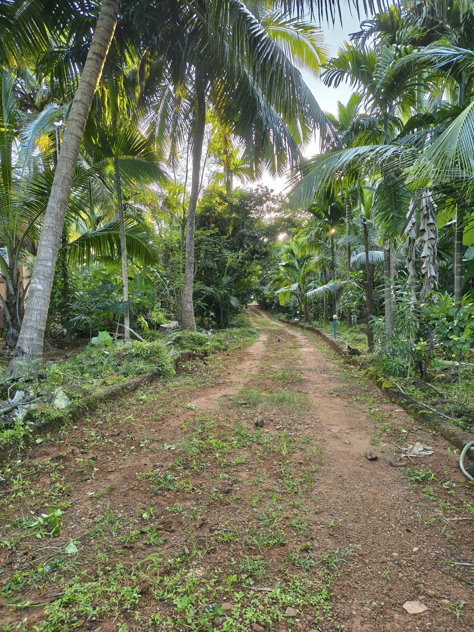 Villa Brahmi Peaceful Garden Stay Near Gokarna 29