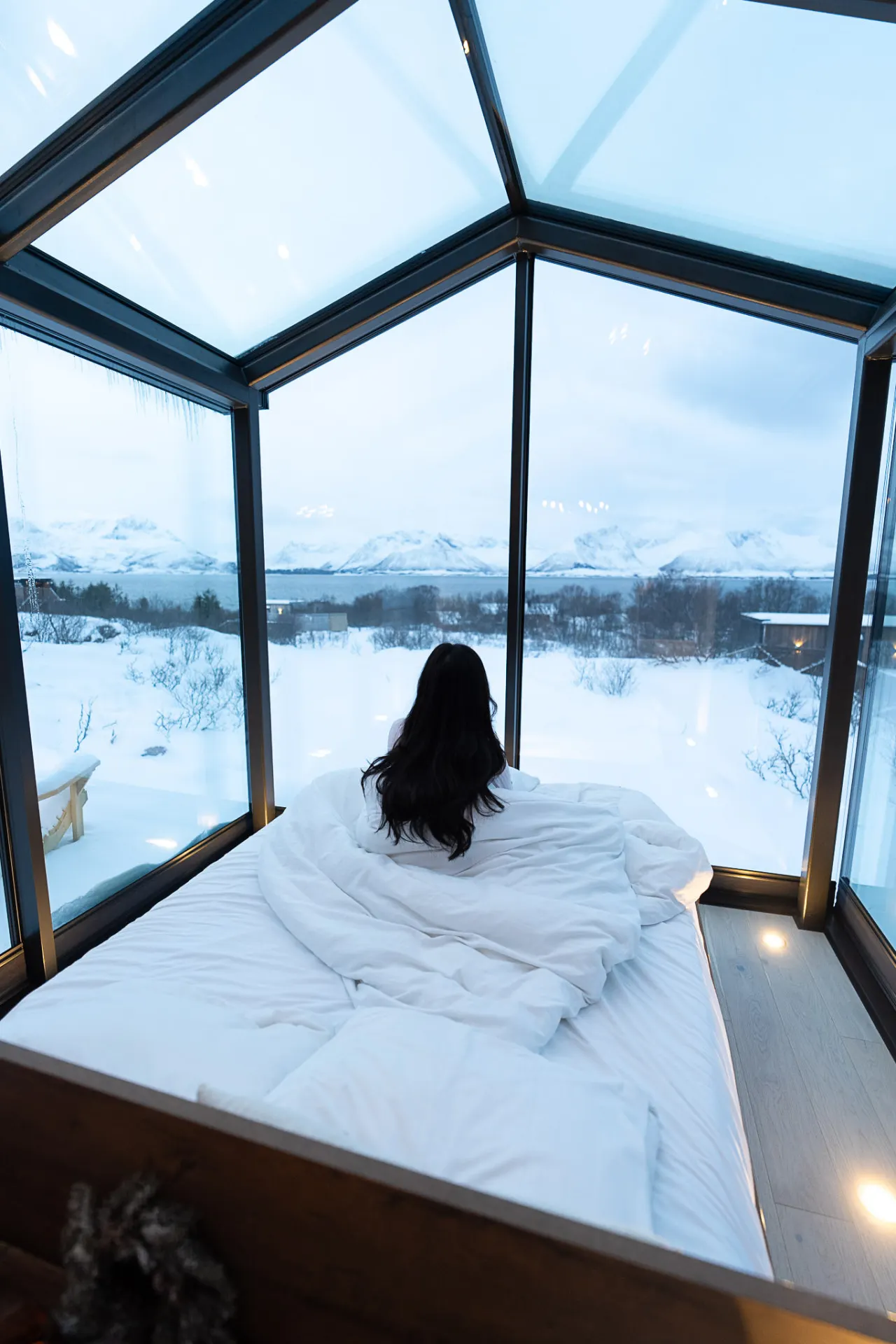 High 5 Glass roof cabin WonderInn Arctic 18