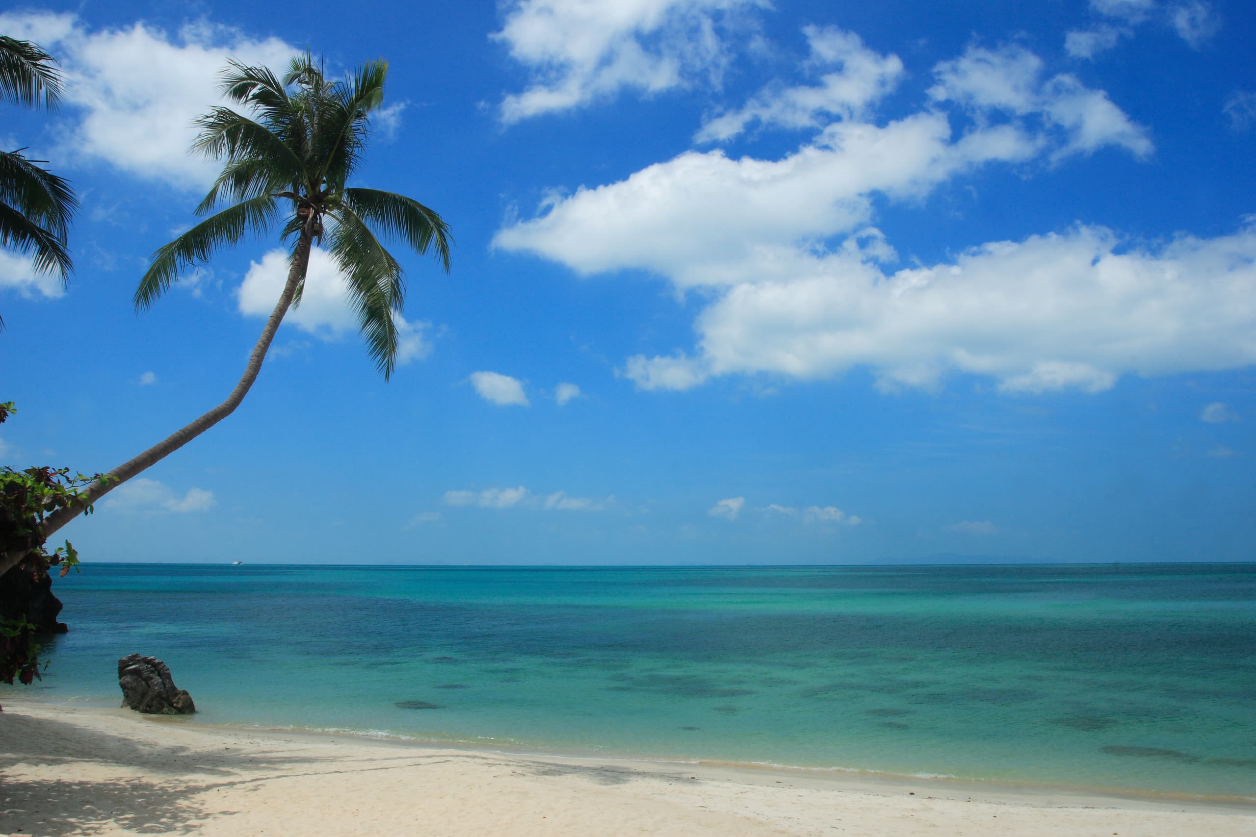 Baan Samlarn: Beachfront, Private Chef, BBQ, Gym 31