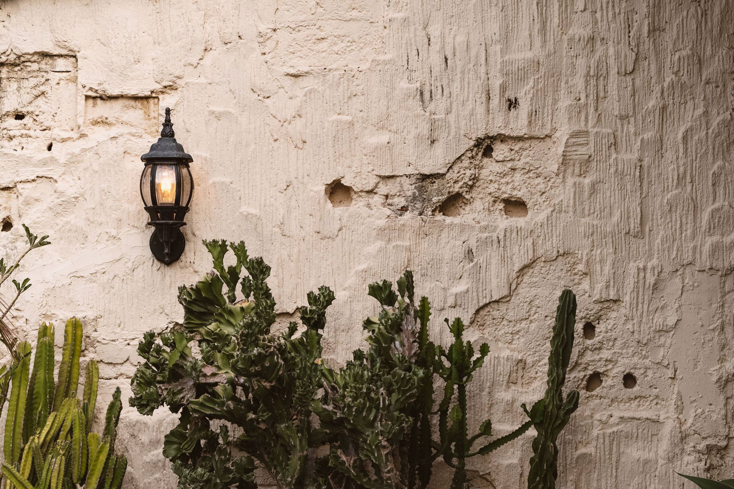 Il Riparo, Canggu | Summerhouse Bal 24