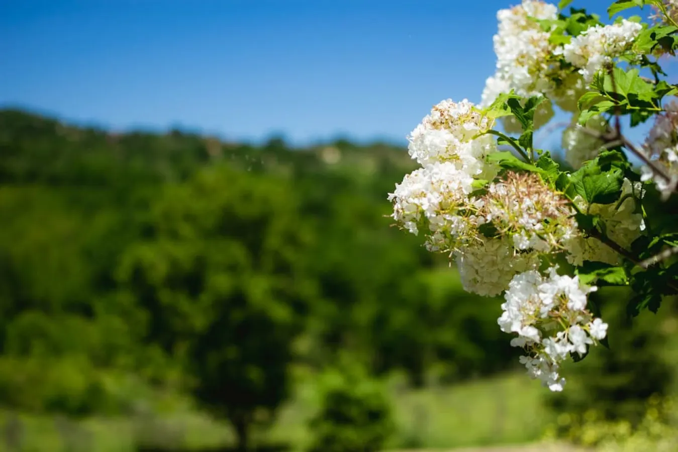 Agriturismo Radici Irpine 7