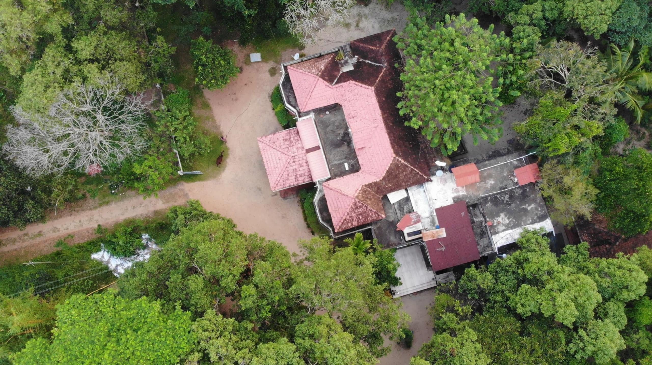 Green Earth Farm Stay Cottage by Tamarind Tree 8