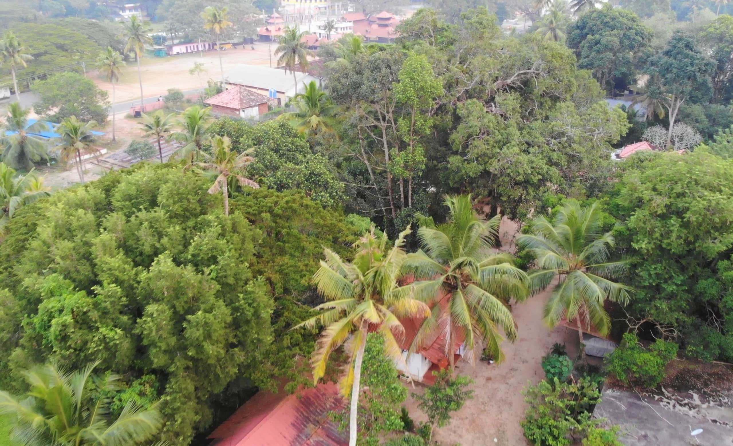 Green Earth Farm Stay Cottage by Tamarind Tree 9