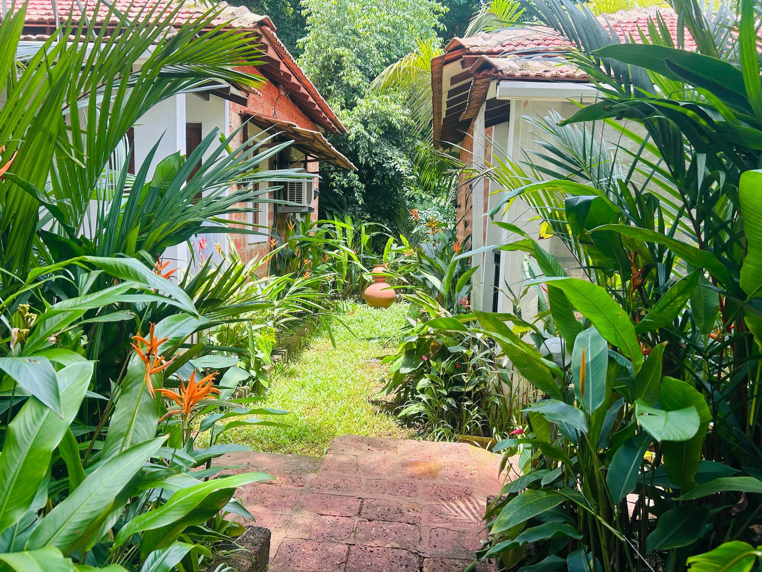 Premium Luxe Cottage Assagao! 10 min to Vagator 15