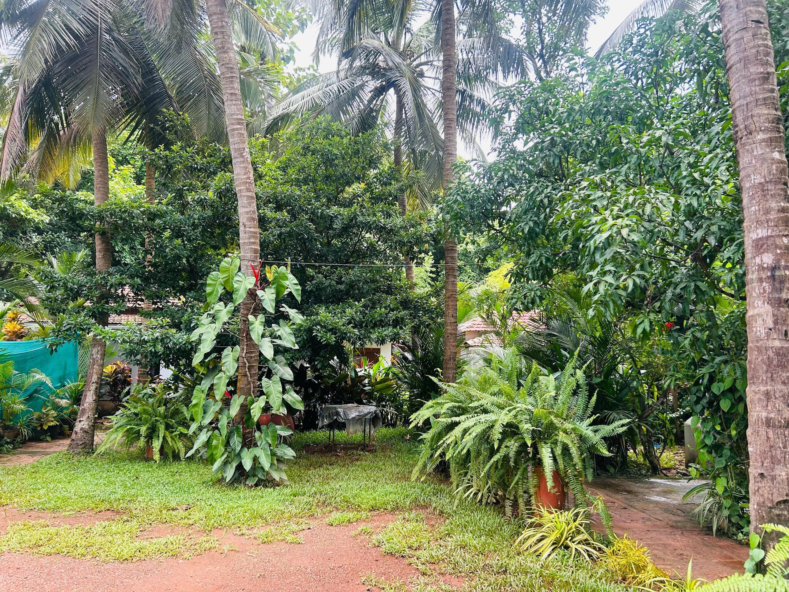Premium Luxe Cottage Assagao! 10 min to Vagator 21