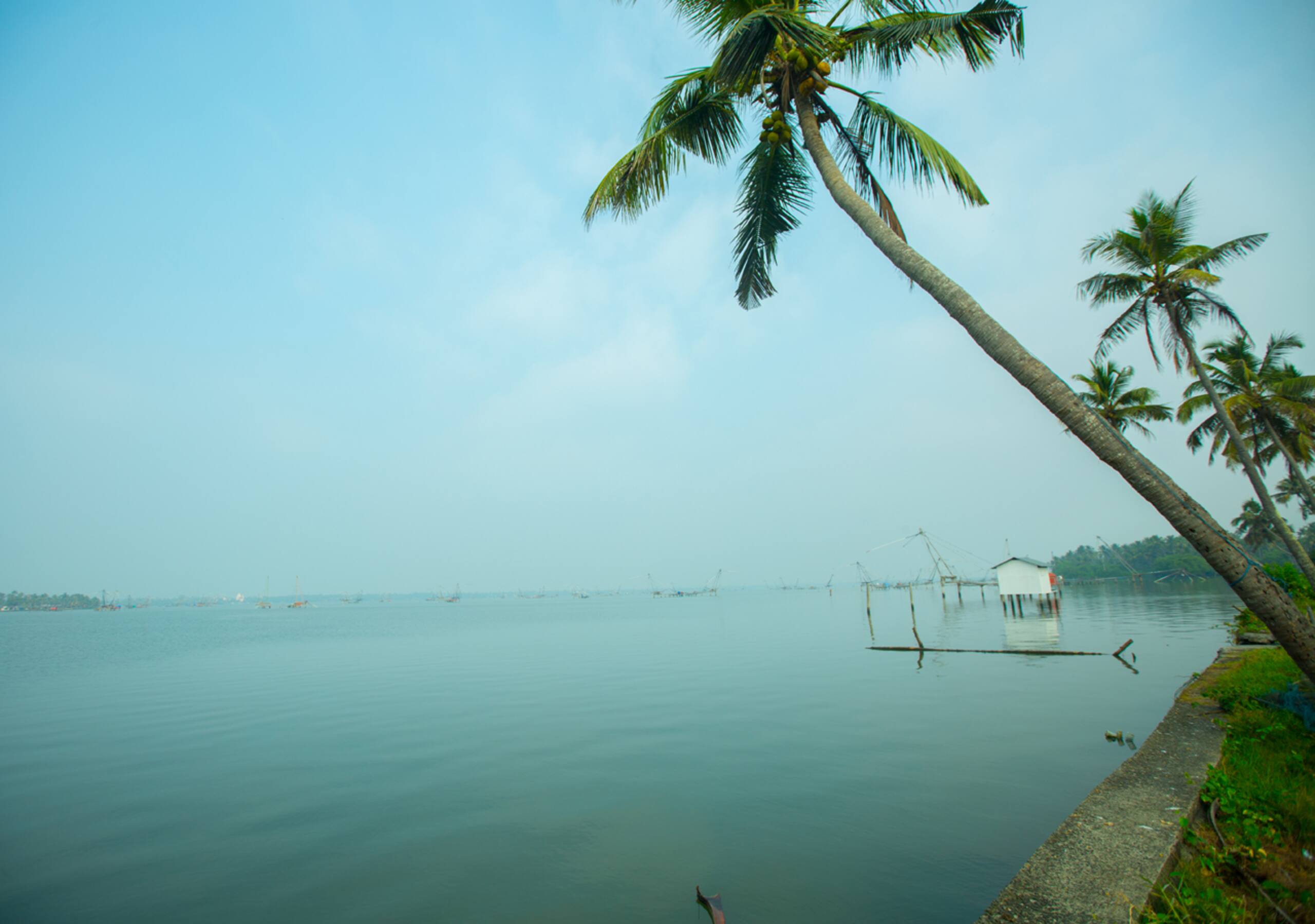 Backwater Villa in Kochi, Kumbalanghi 23