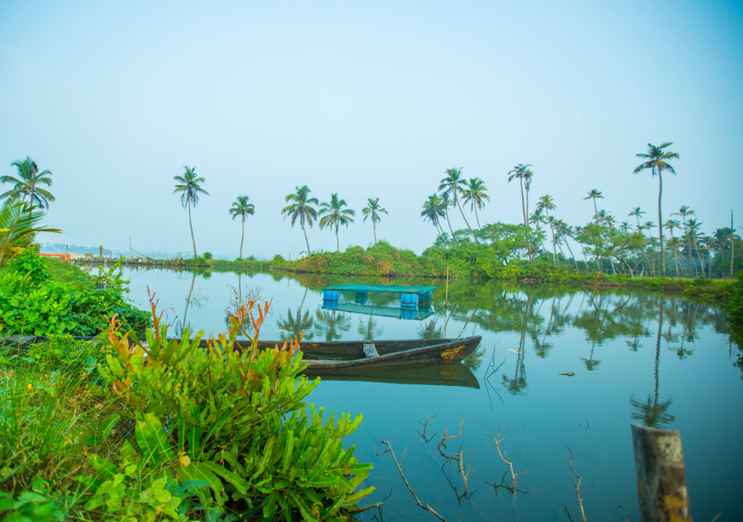 Backwater Villa in Kochi, Kumbalanghi 22