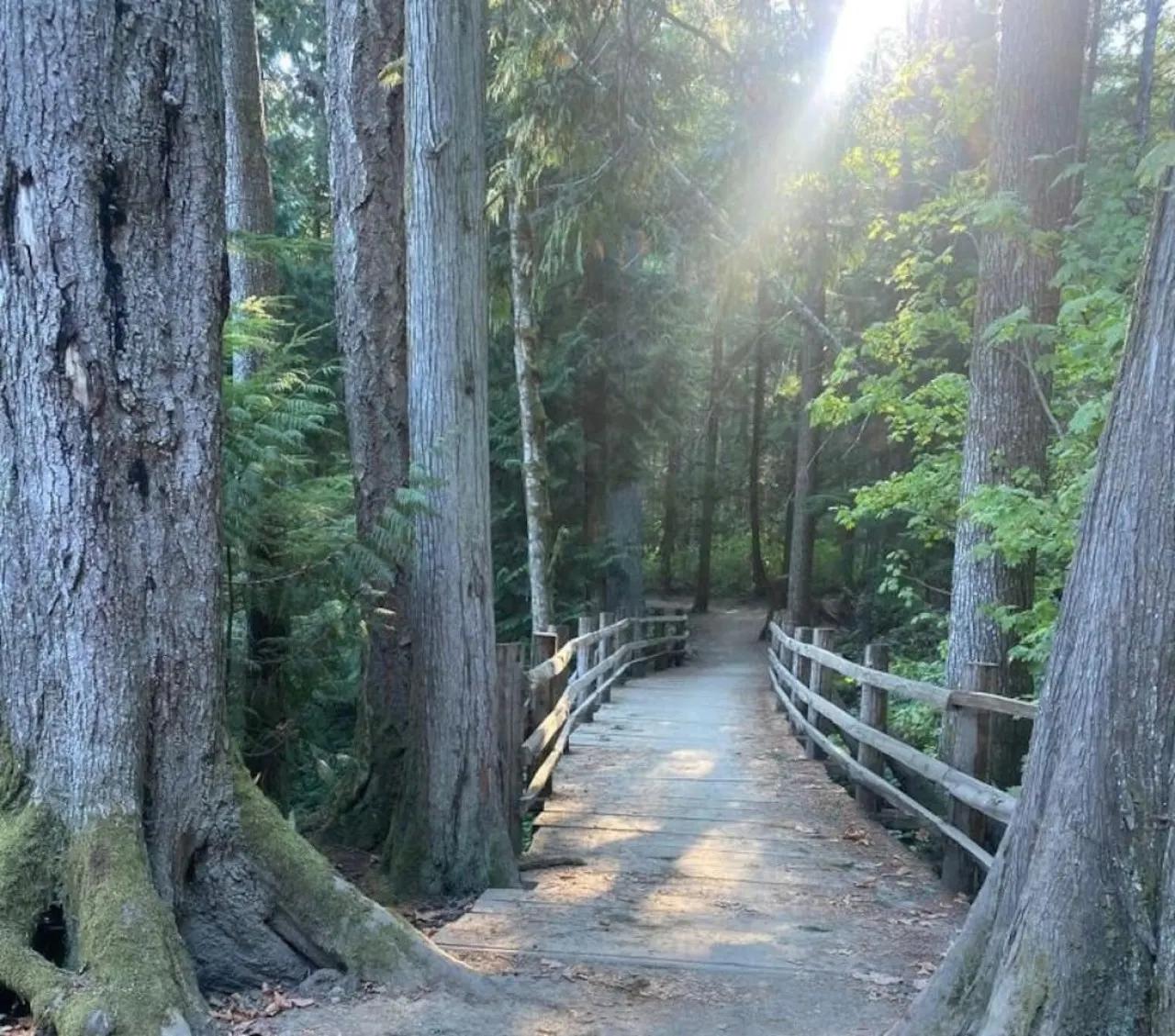 Adventure-Ready Luxury – Gateway to Trails, Peaks & Panoramas 17