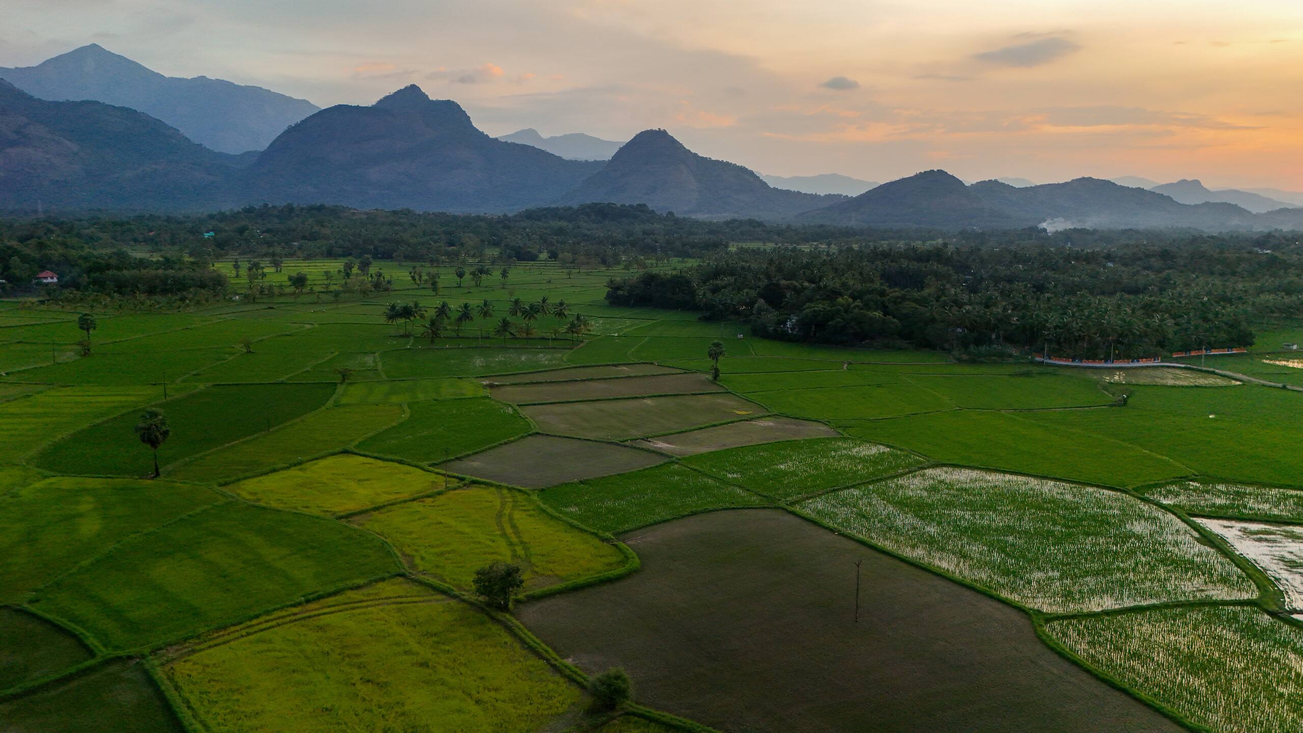 Seethavanam - One Bedroom Farmstay 29