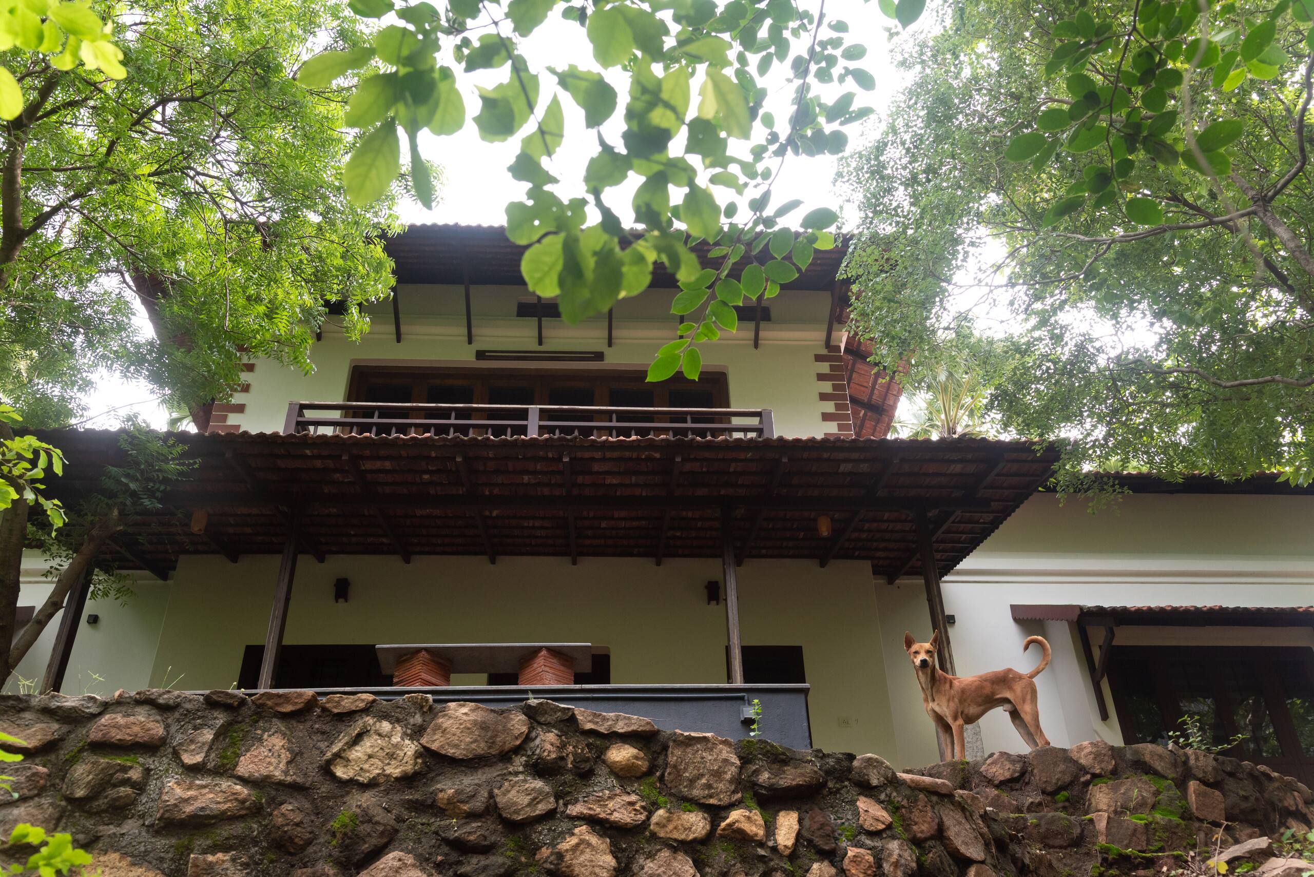 Seethavanam - One Bedroom Farmstay 2