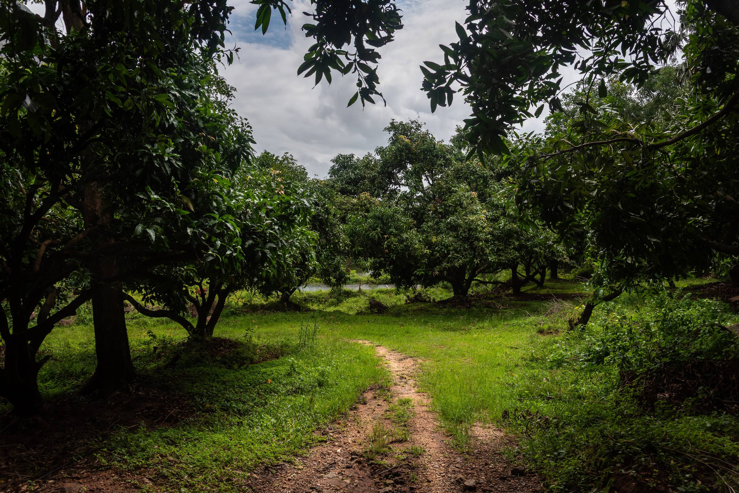 Seethavanam - One Bedroom Farmstay 18