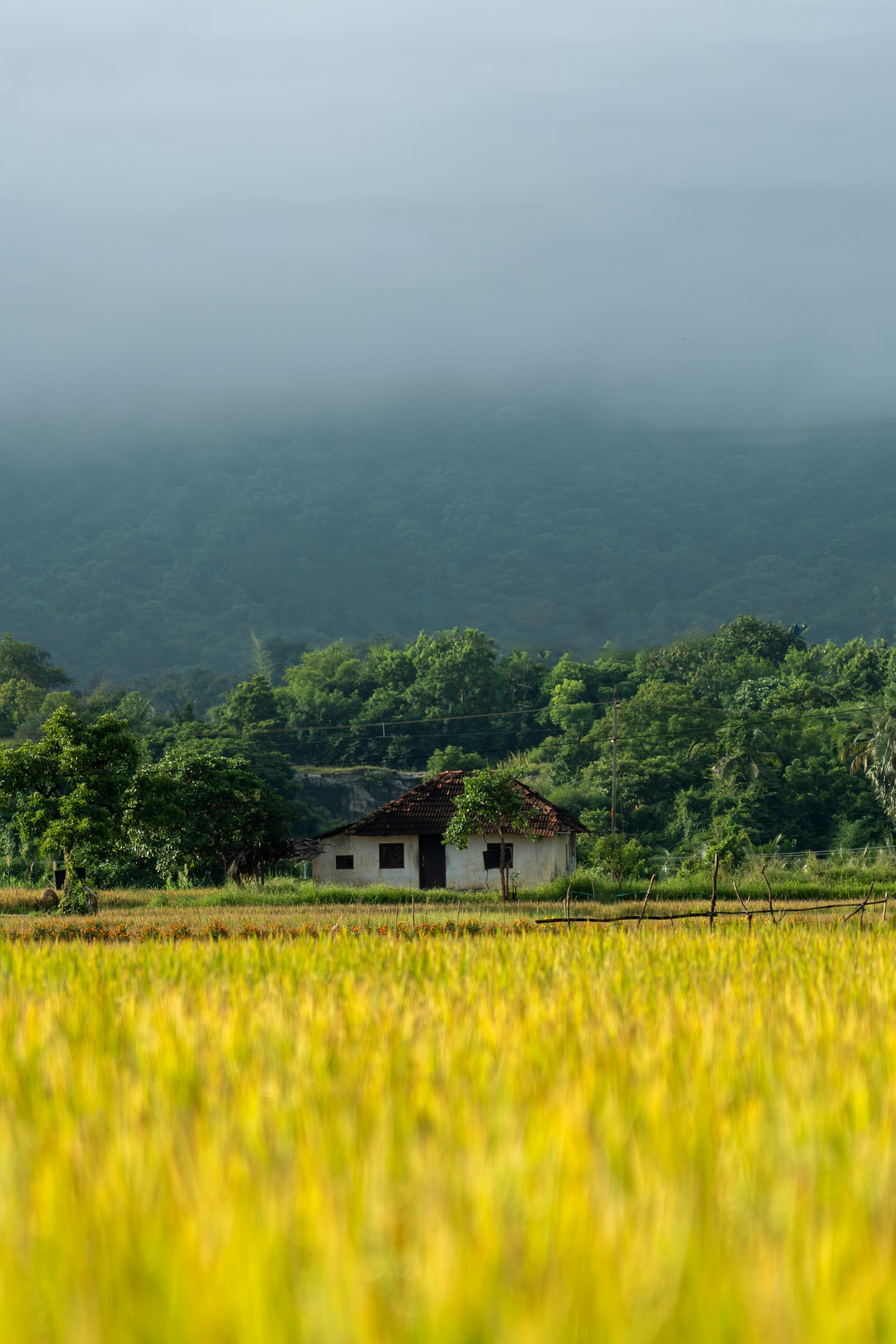 Seethavanam - One Bedroom Farmstay 16