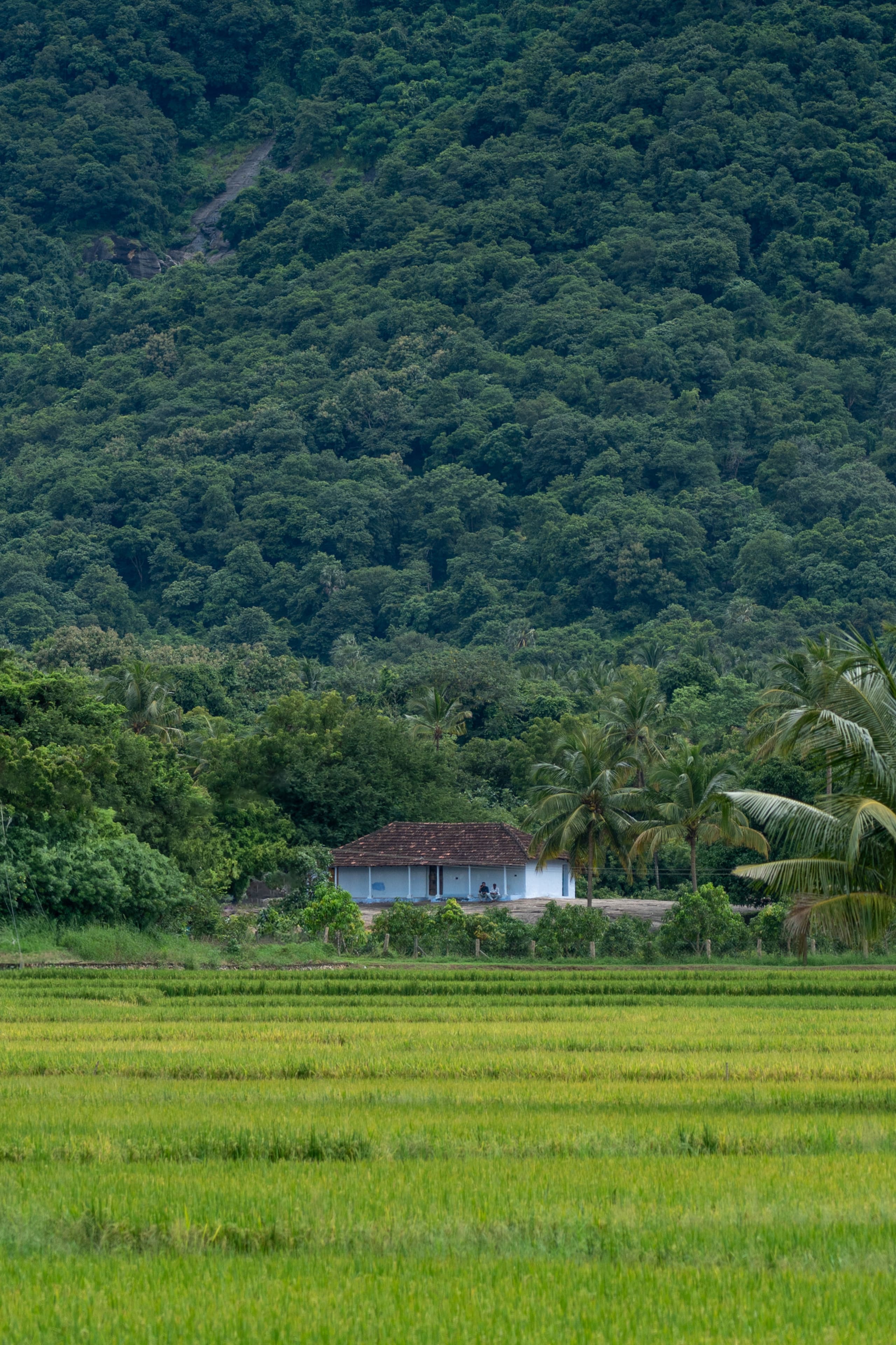 Seethavanam - One Bedroom Farmstay 24