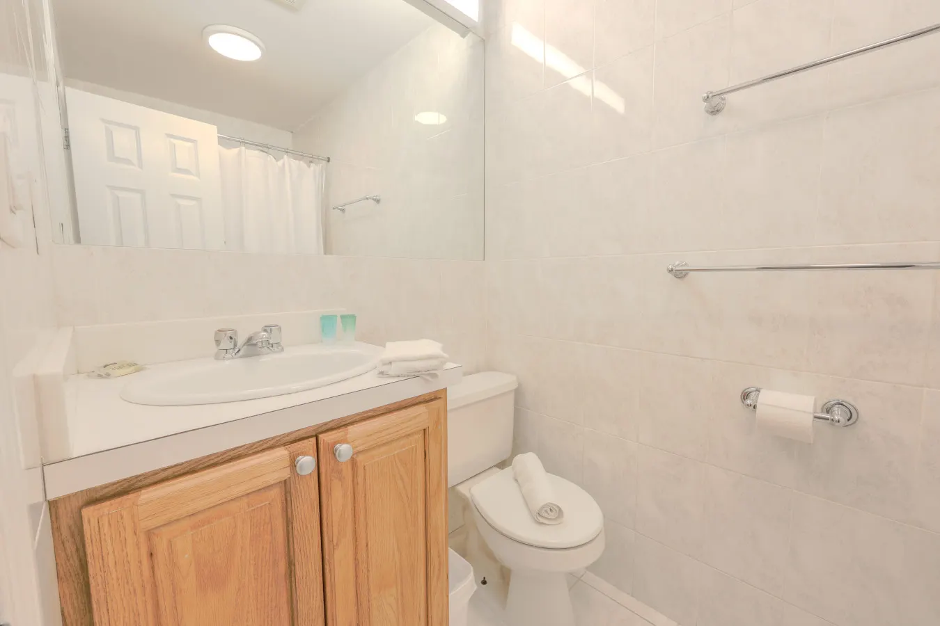 Comfy 1br, Minutes to Boston Common, 99 Walk score 10