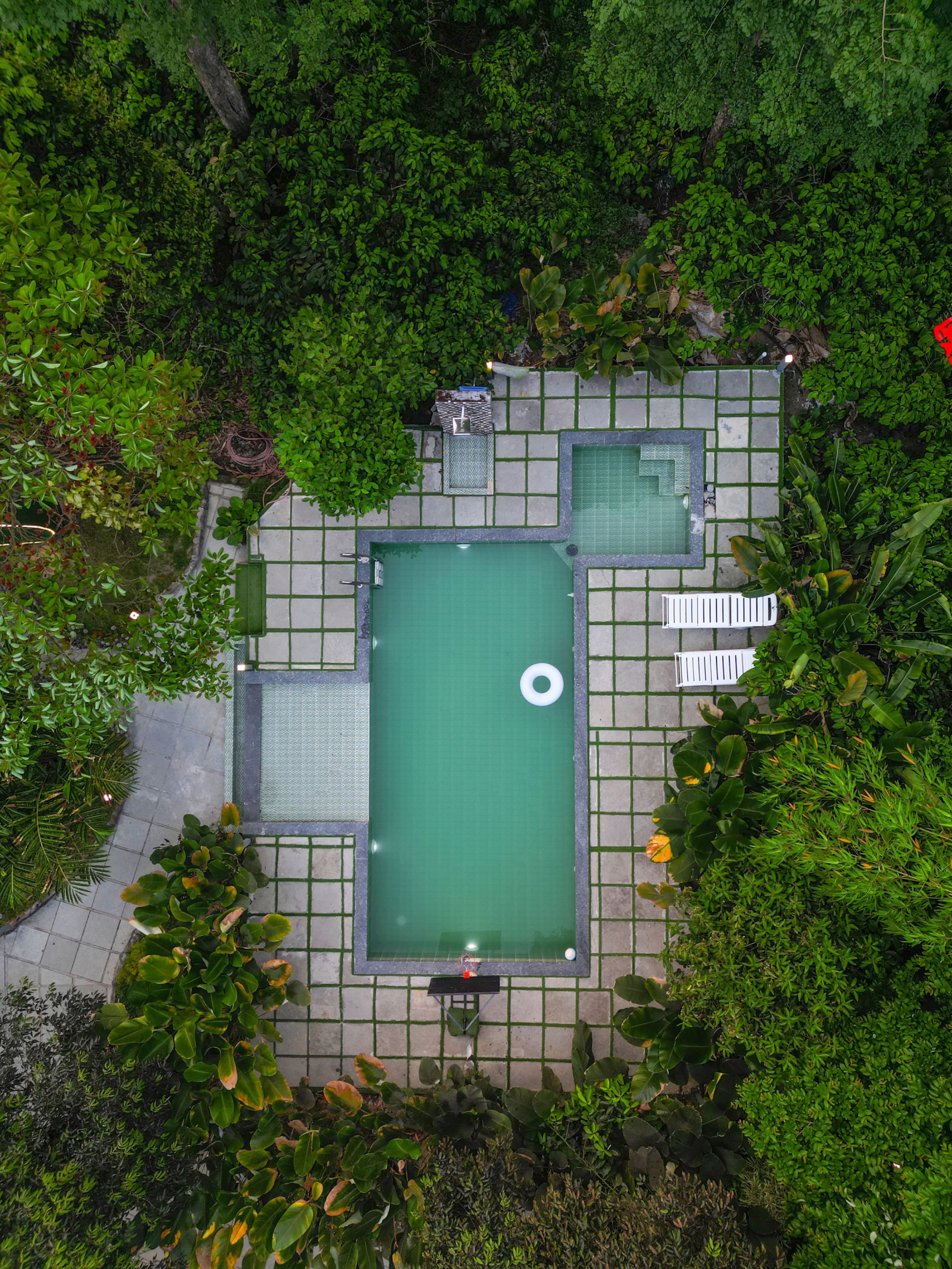 Arabica Garden View Cottage | Coffee Estate Stay 28