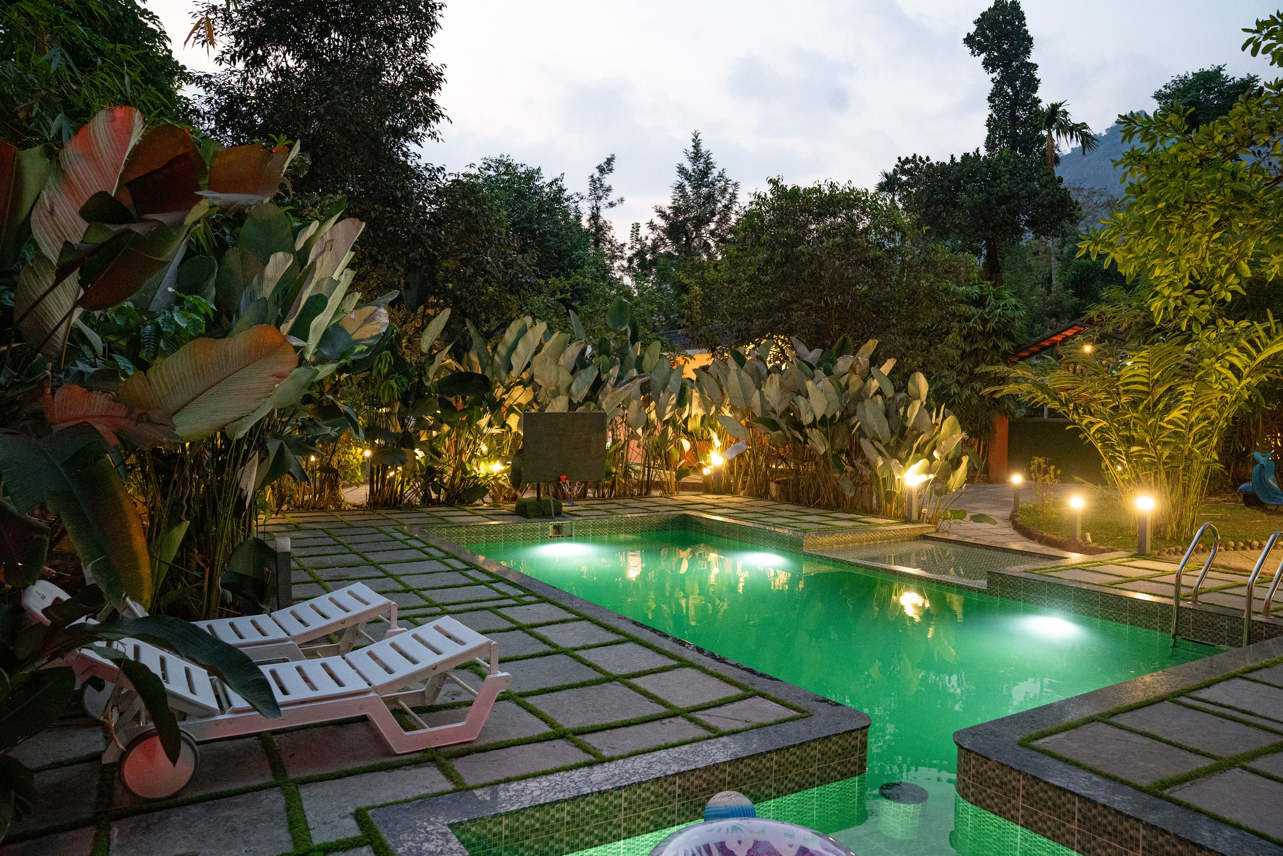 Arabica Garden View Cottage | Coffee Estate Stay 6