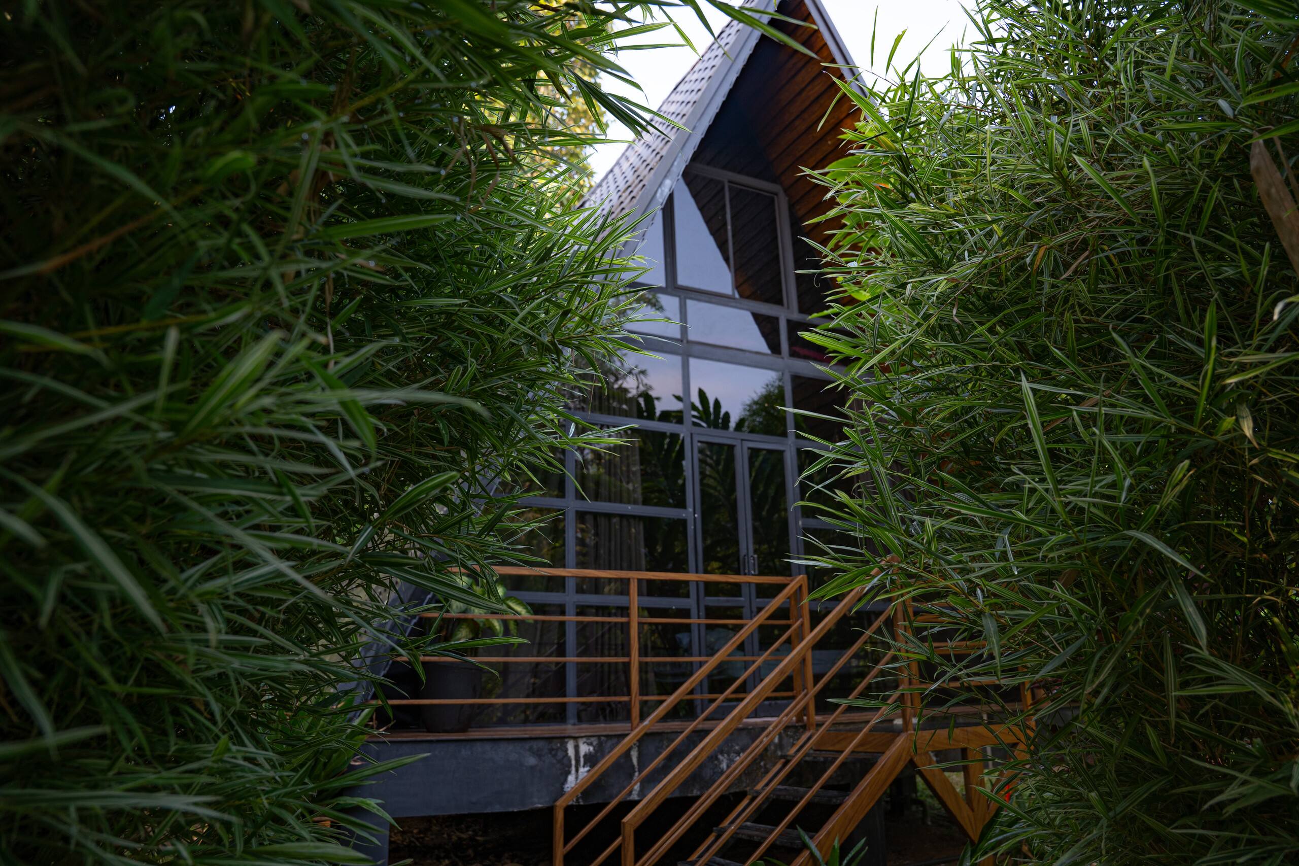 Arabica Garden View Cottage | Coffee Estate Stay 32