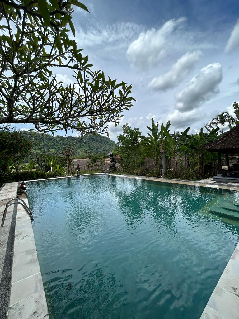 Subak Tabola Villa — photo 4
