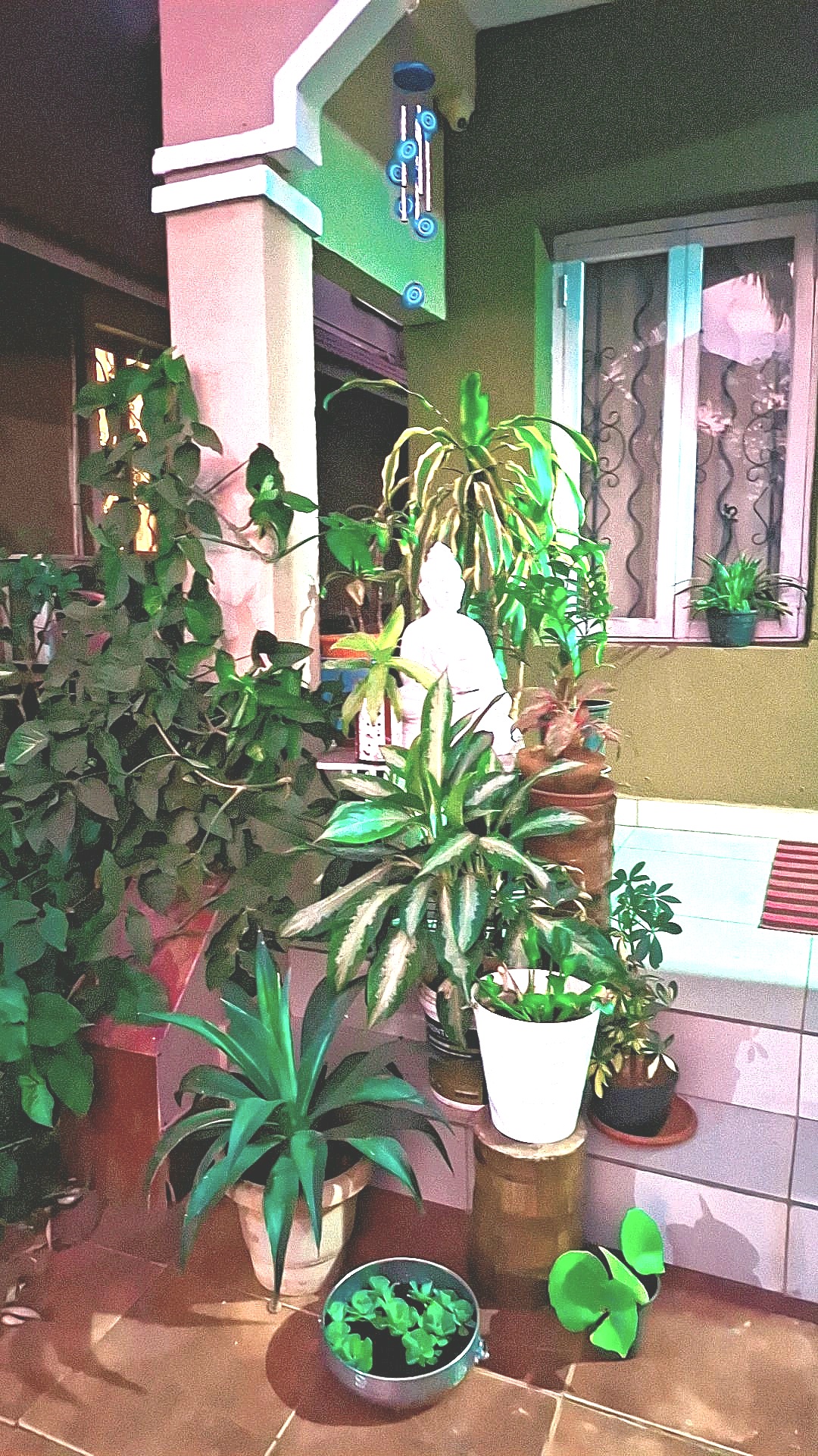 Rosha Villa 2BHK Villa Candolim Goa Family stay 9