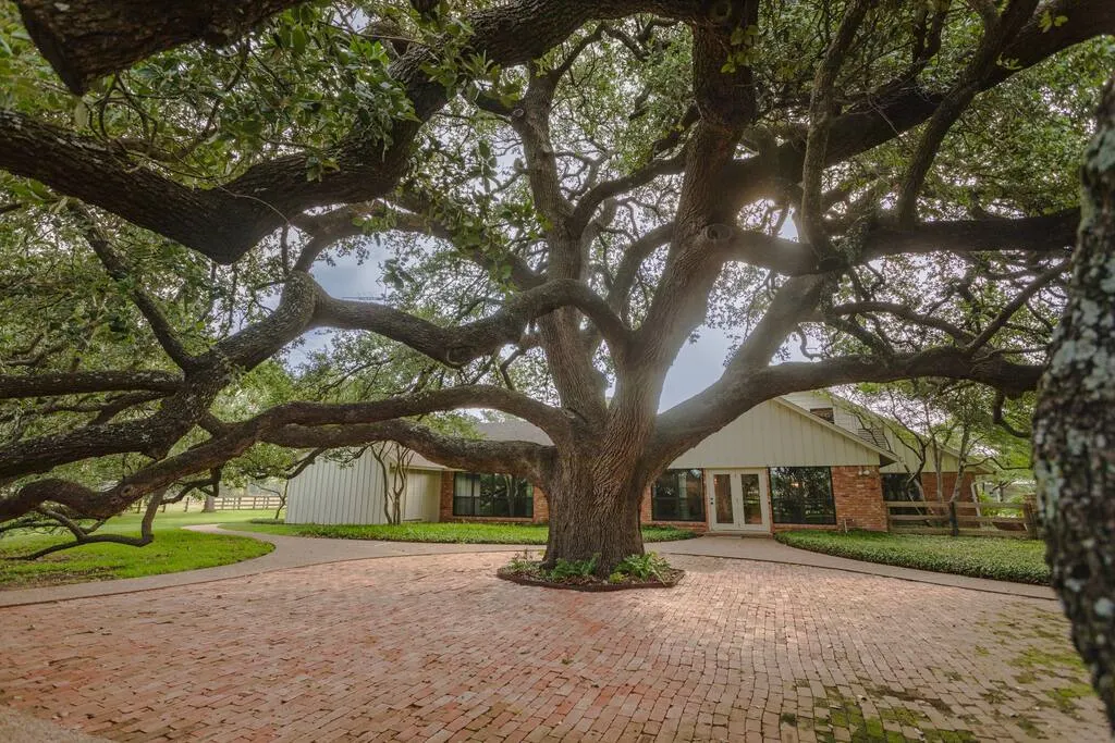 Oak Tree Country Manor w/ Pool 3