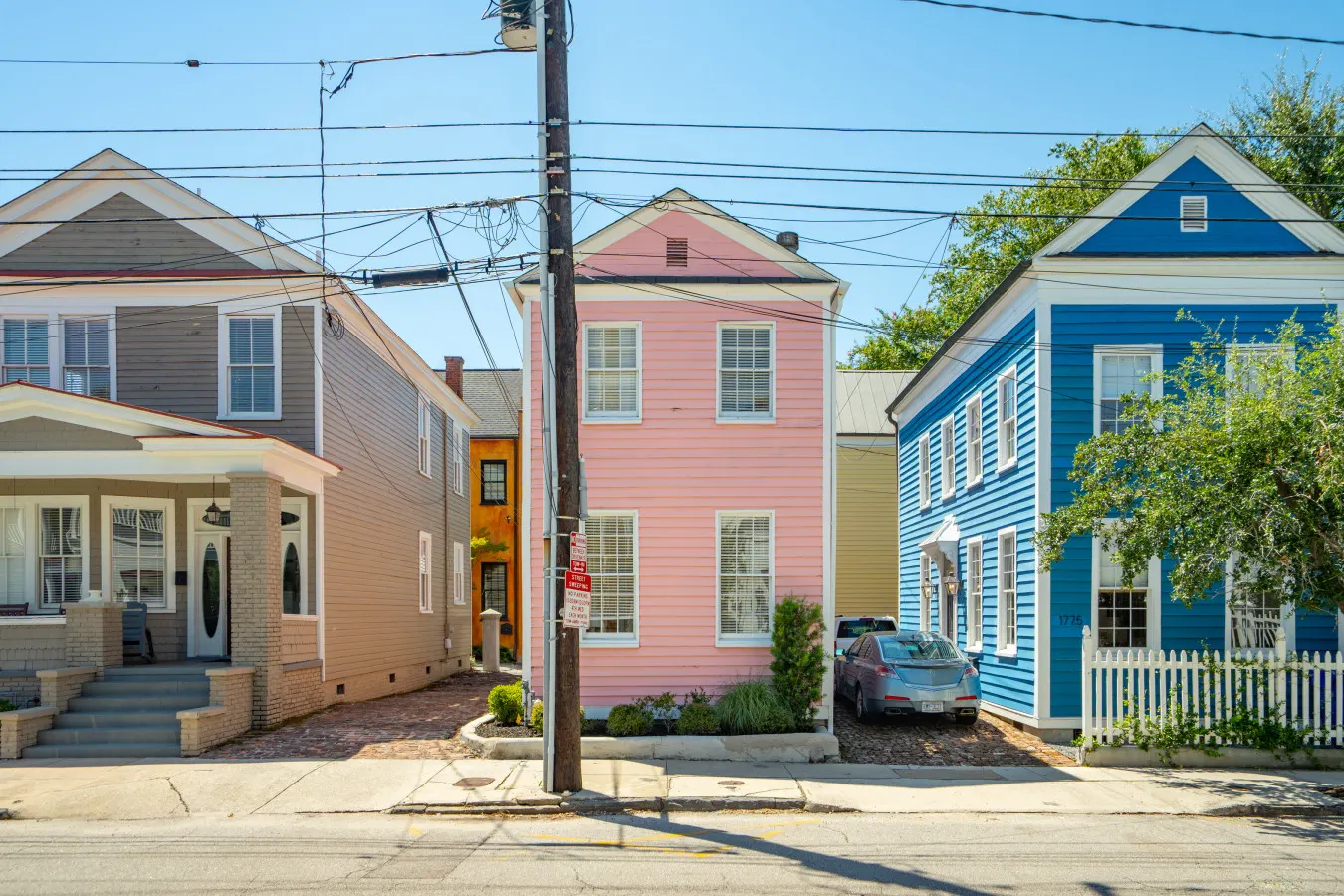 The Pink Palmetto-Walk To King! — photo 2