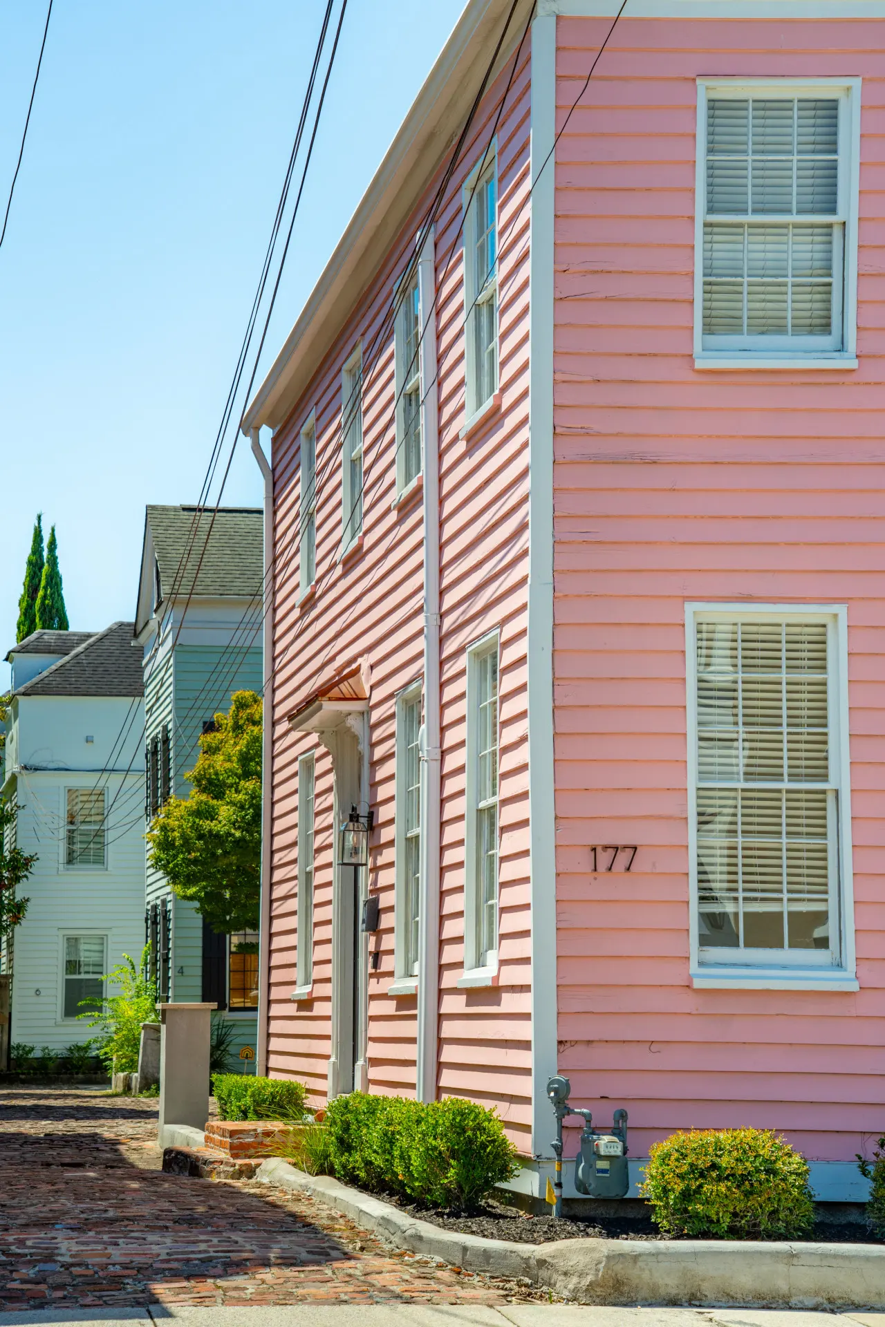 The Pink Palmetto-Walk To King! — photo 3