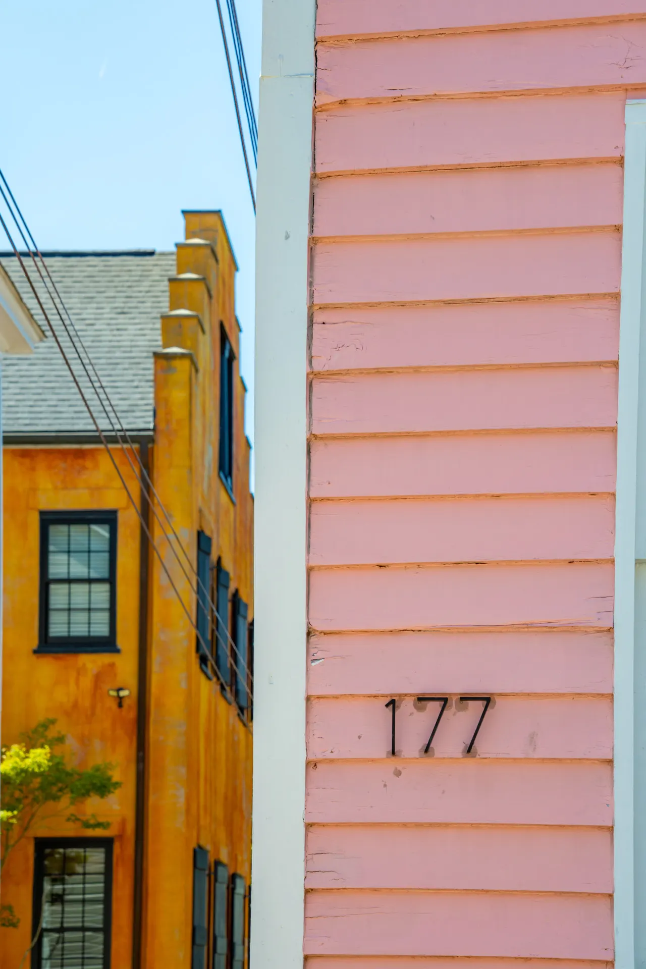 The Pink Palmetto-Walk To King! — photo 4