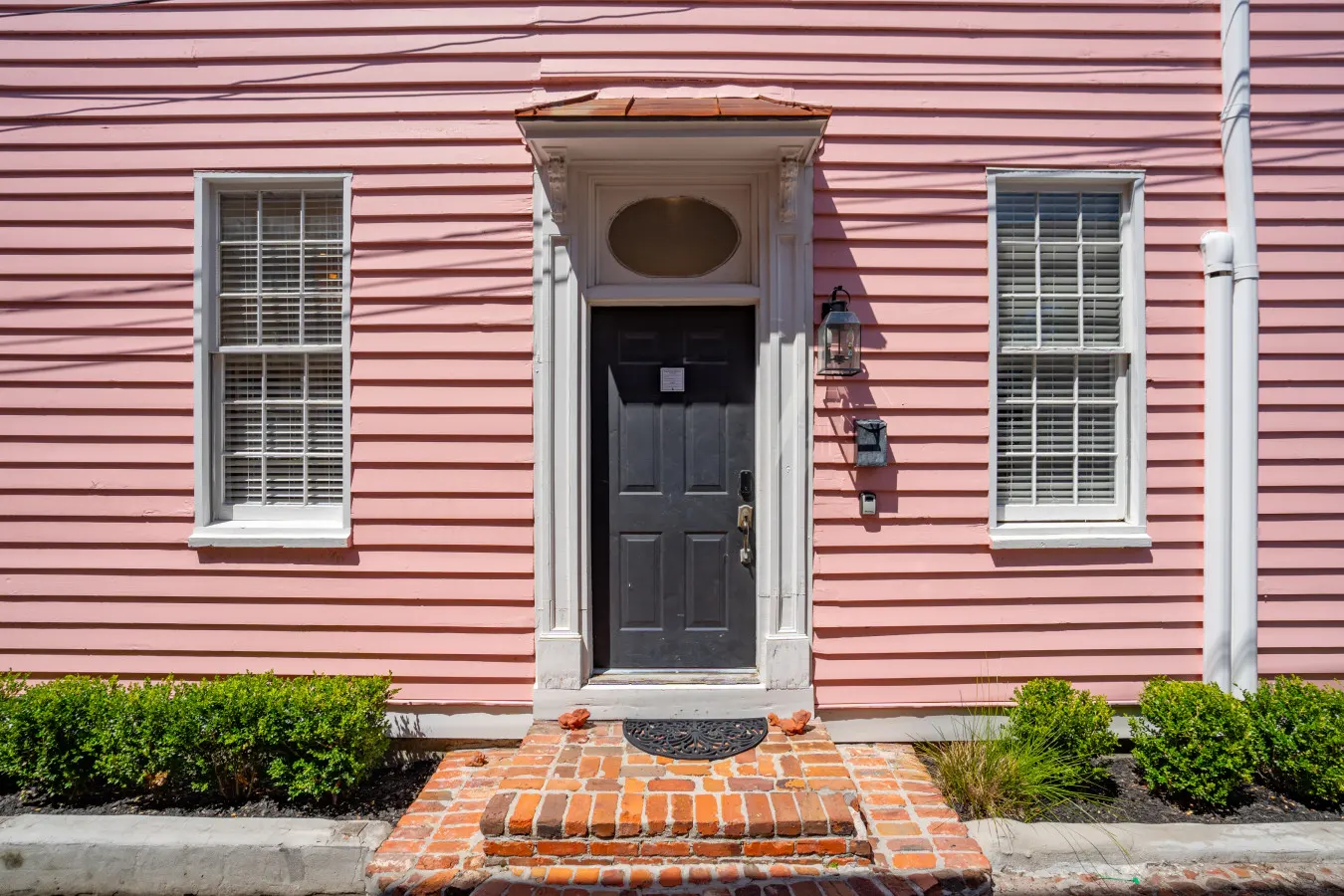 The Pink Palmetto-Walk To King! — photo 5