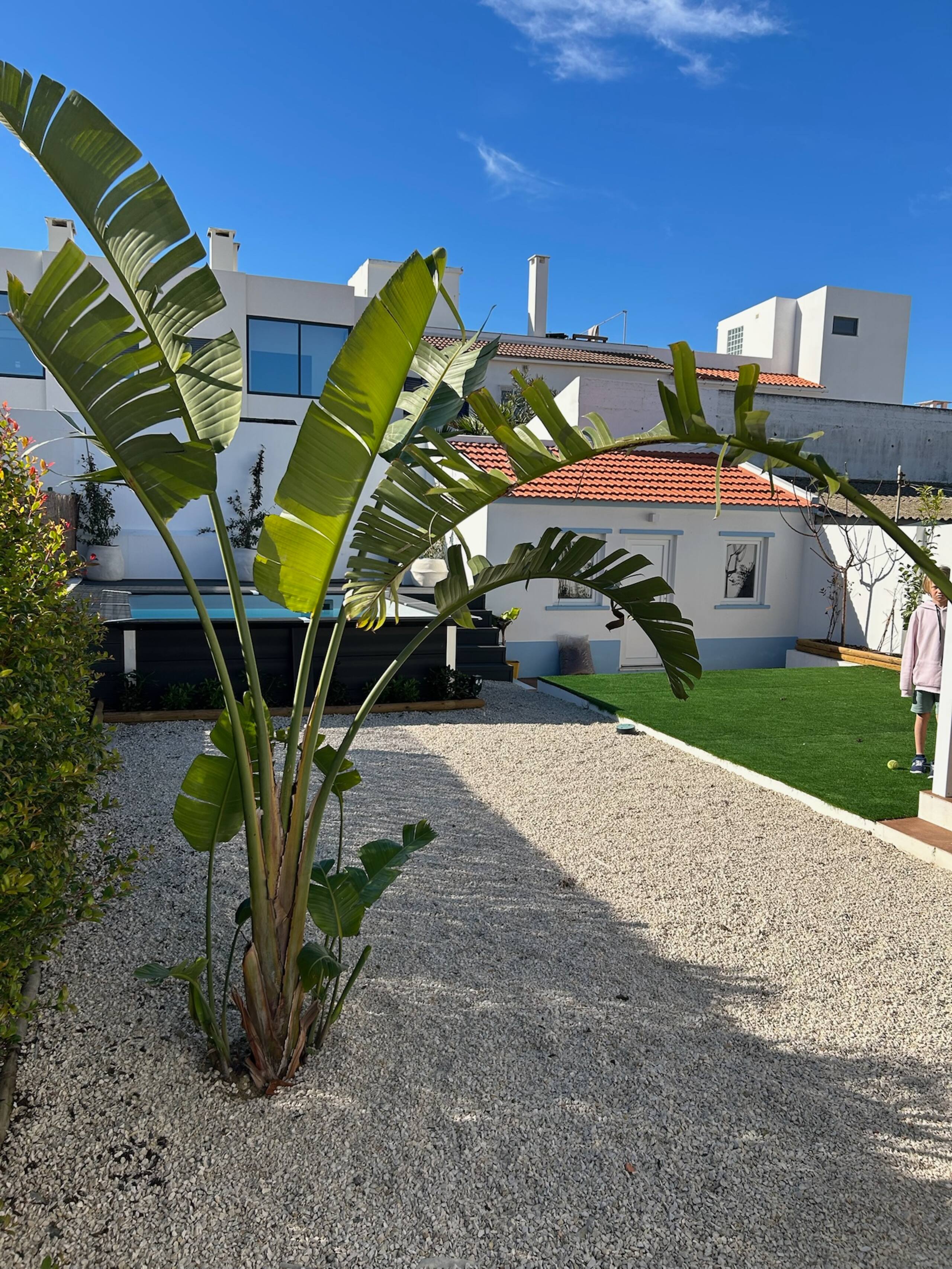 La Maison Bleue 5