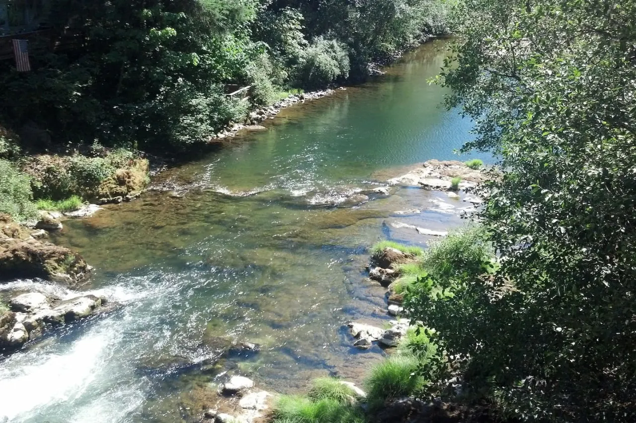 River Glen Cottage in Blue River, Oregon 12