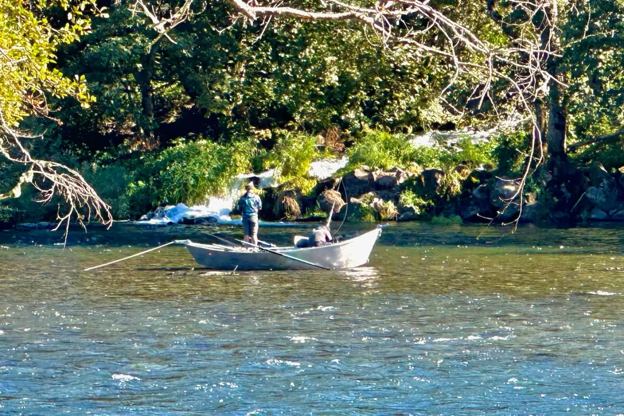 River Glen Cottage in Blue River, Oregon 19
