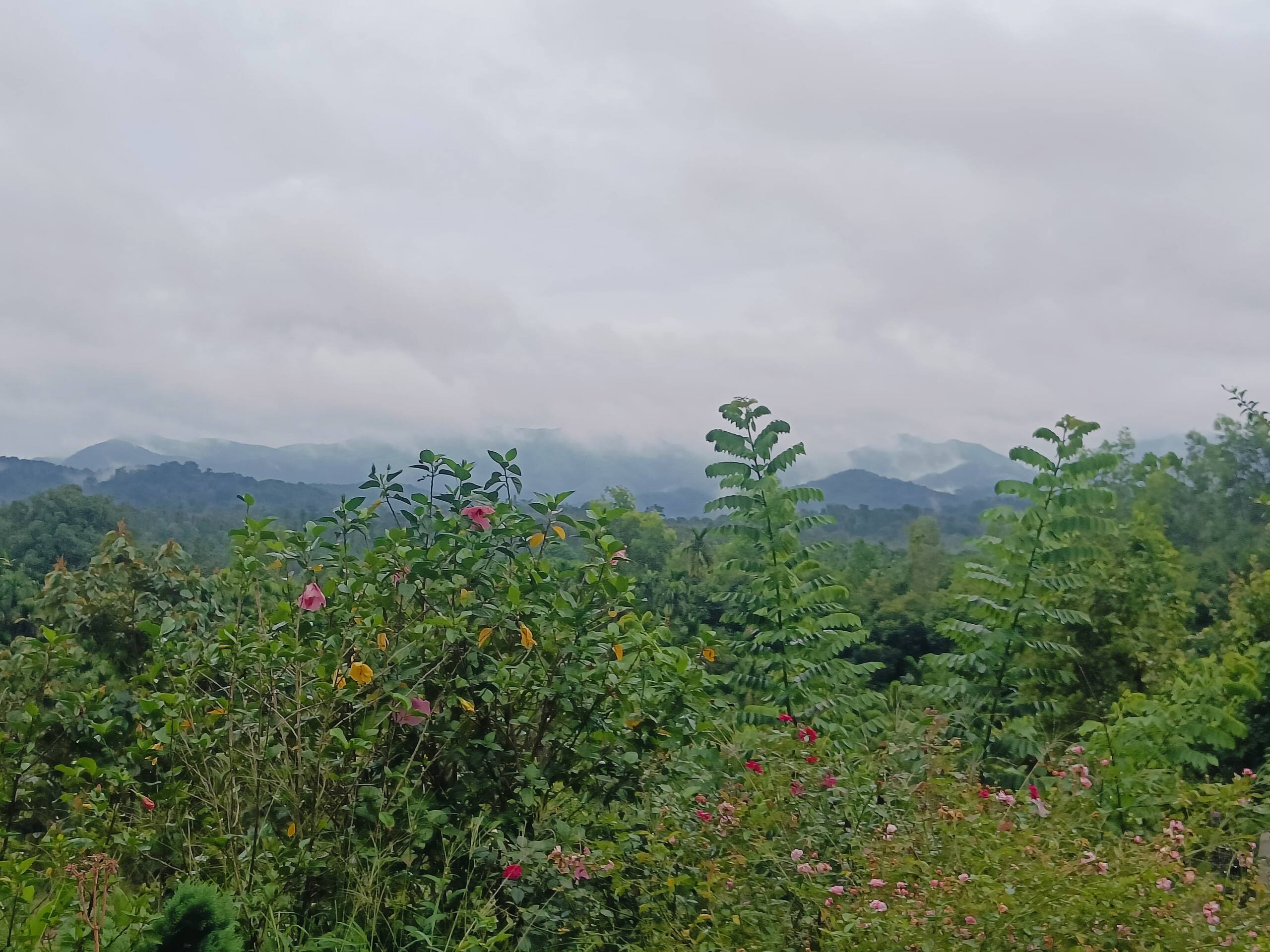 Green Haven Homestay, By Triora Escapes 12