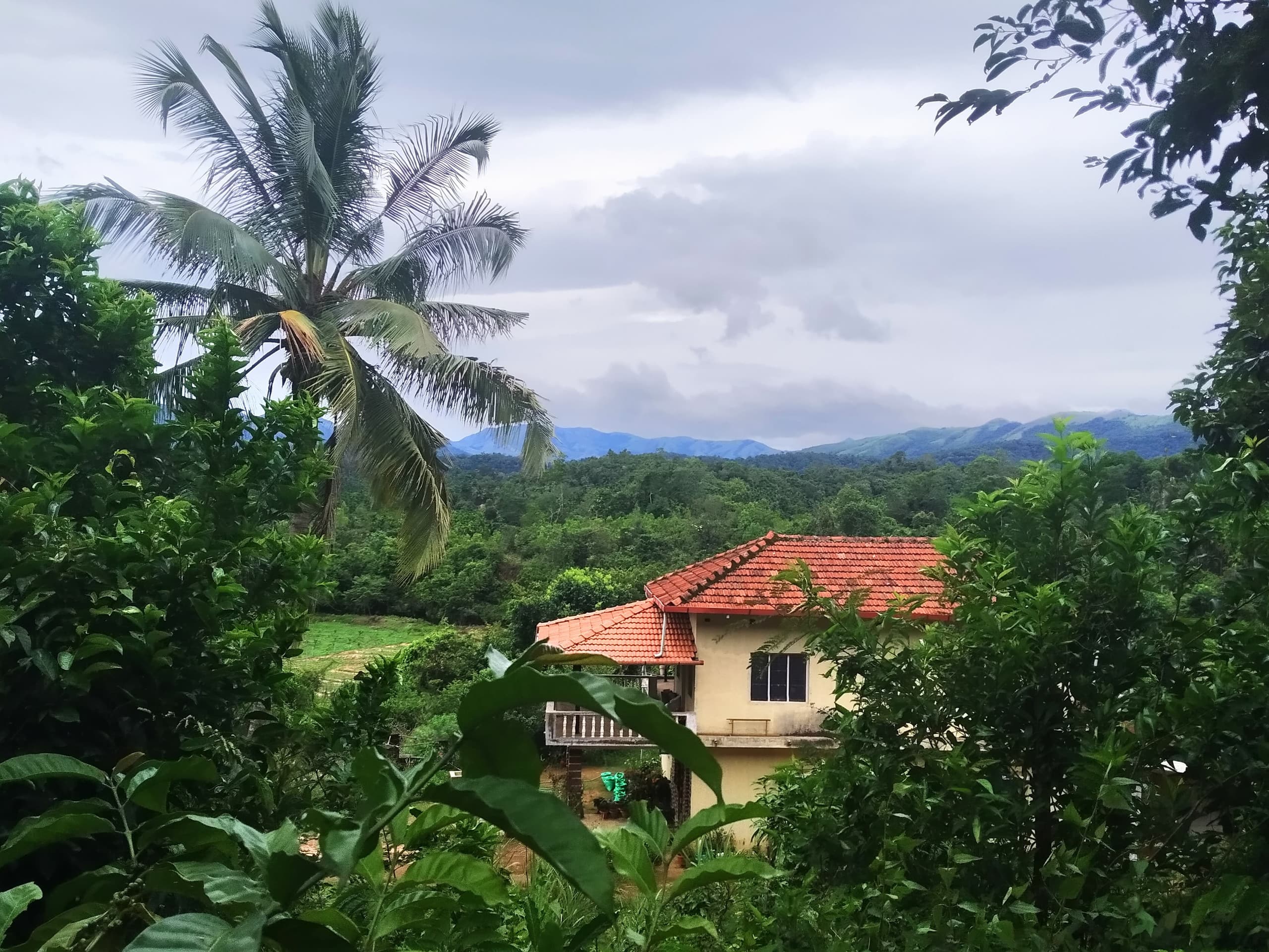 Green Haven Homestay, By Triora Escapes — photo 5