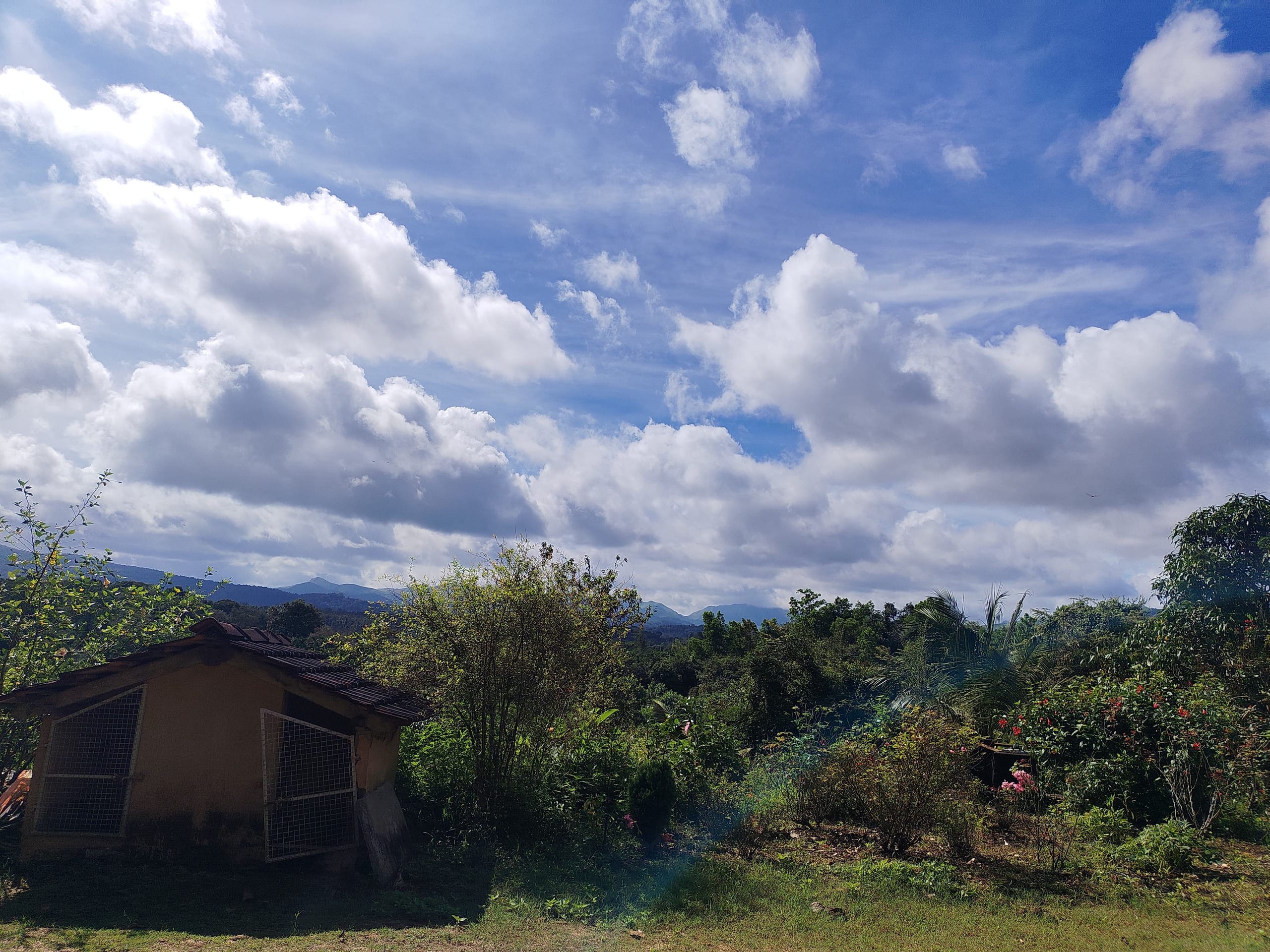 Green Haven Homestay, By Triora Escapes — photo 4